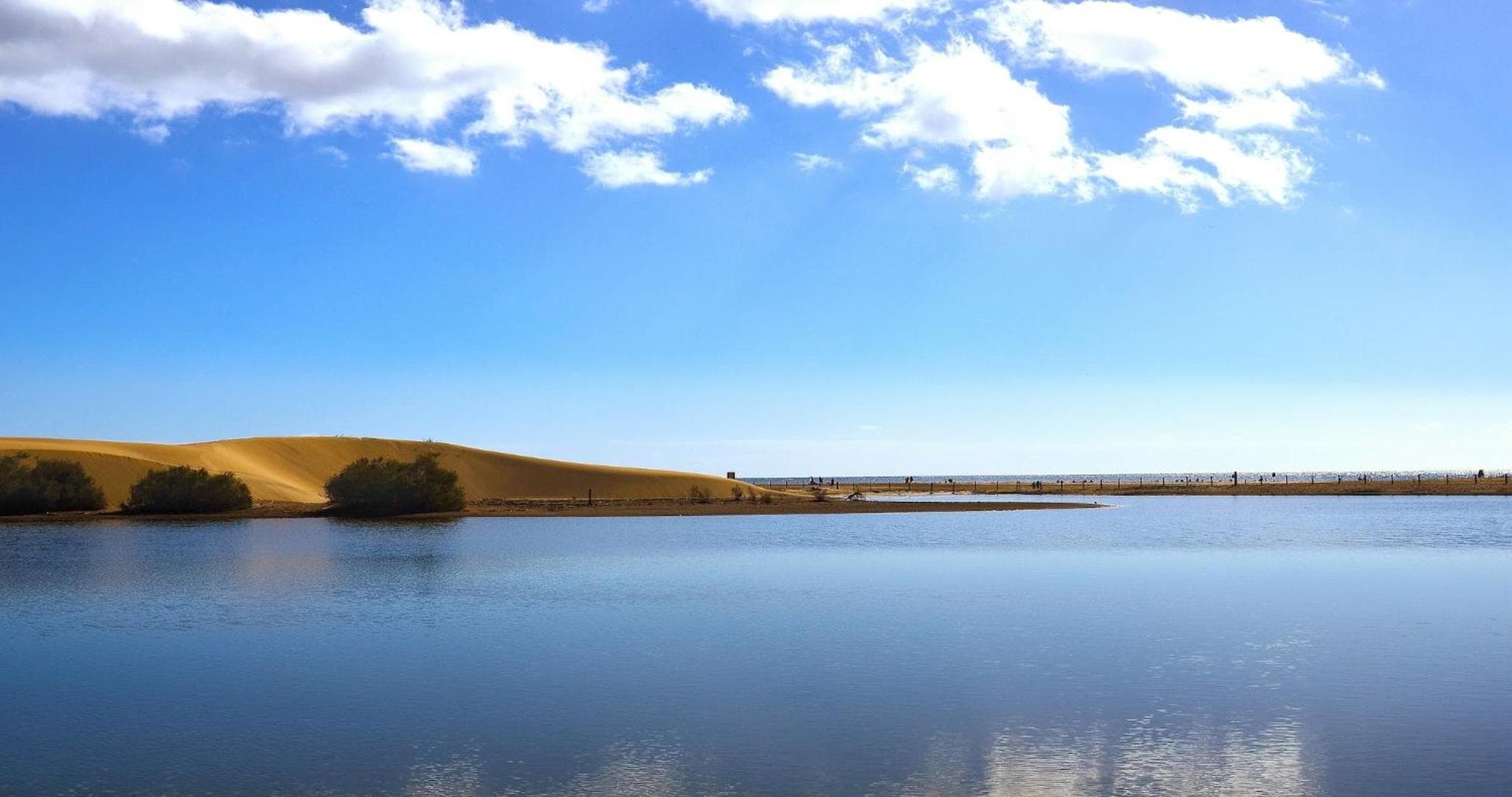 Dunaoasis Maspalomas — 3