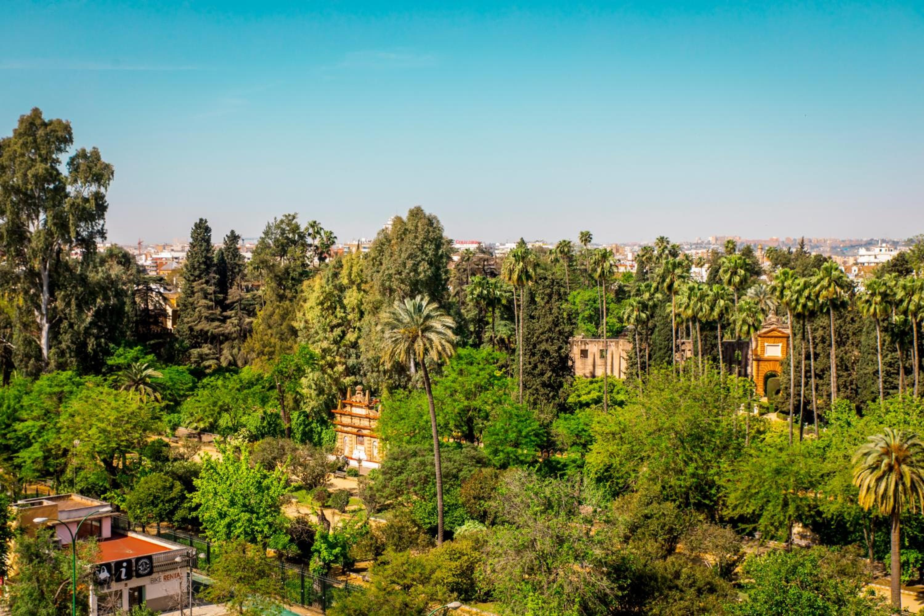 Hotel Alcázar — 7