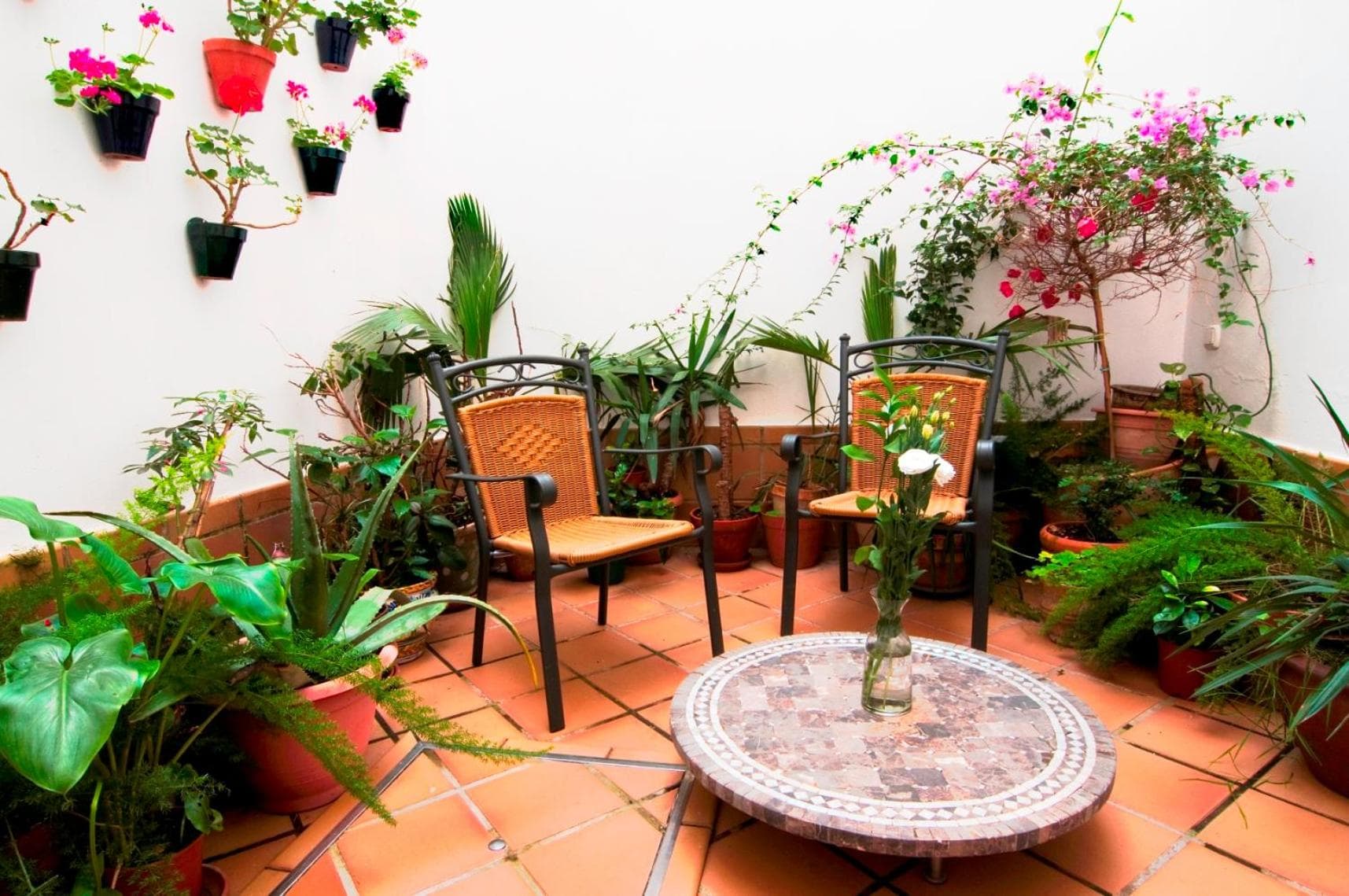 Un Patio al Sur — 13