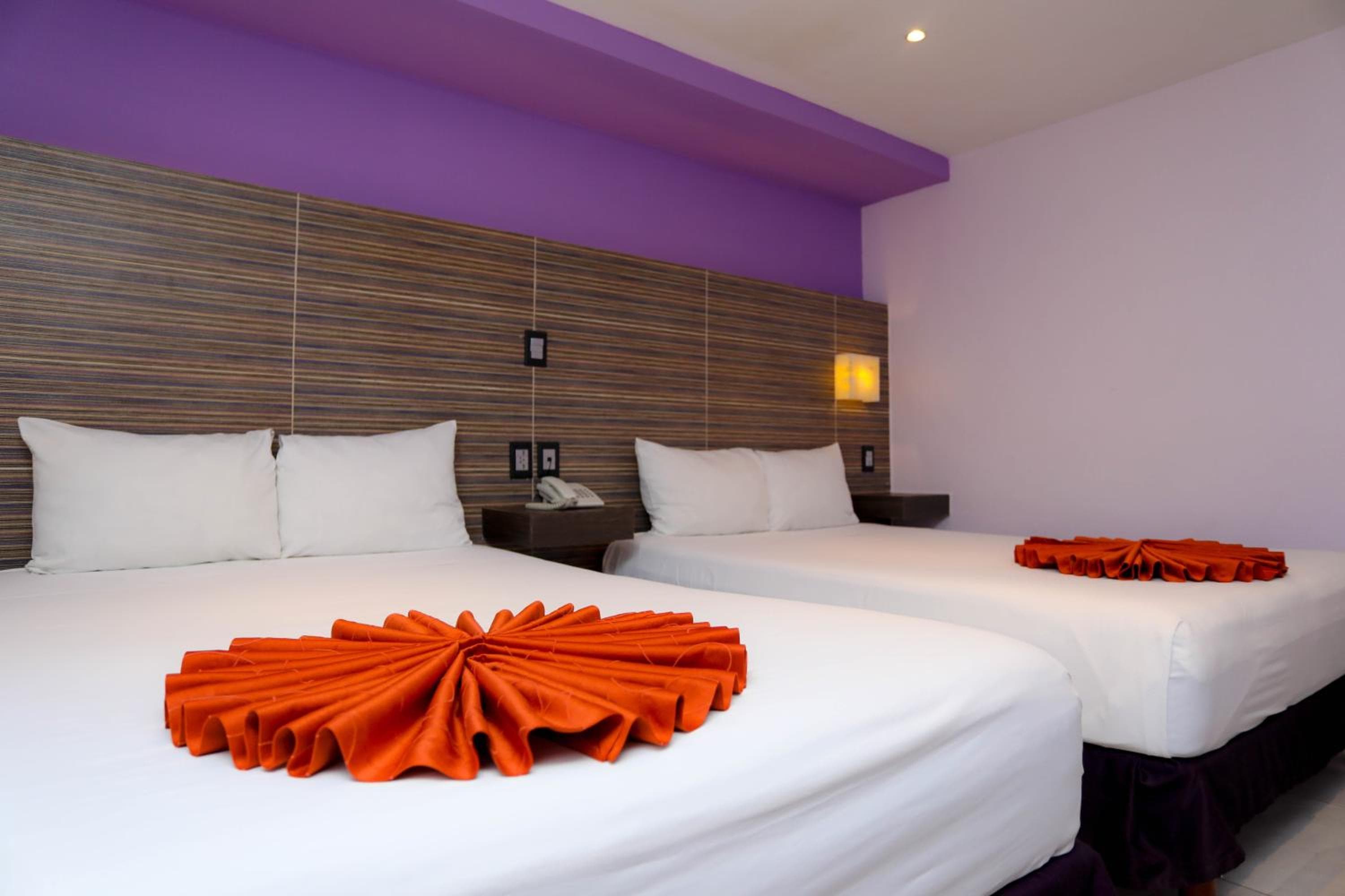 Hotel Kavia — 26
