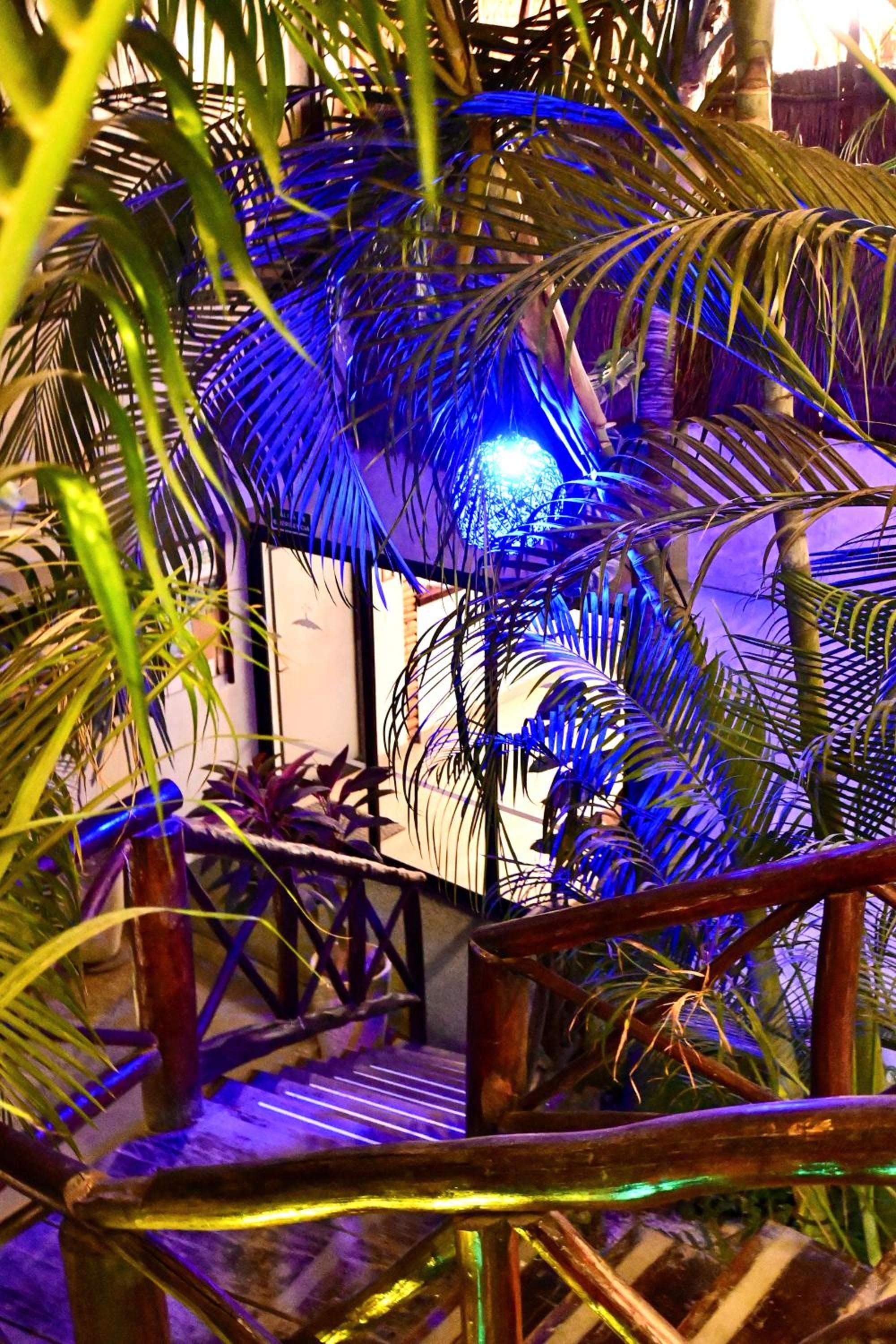 Pacha Tulum Boutique Hotel — 3