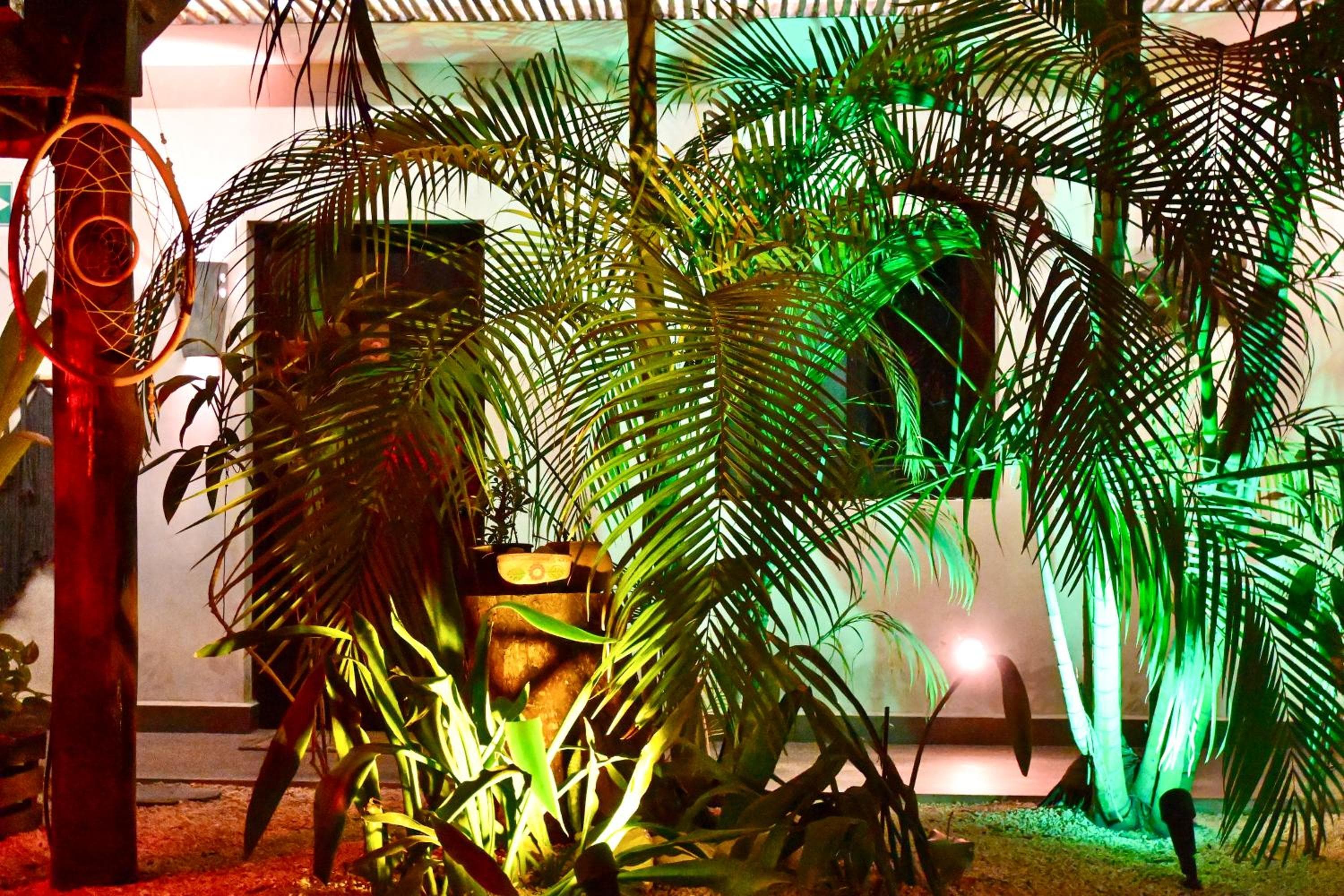 Pacha Tulum Boutique Hotel — 25