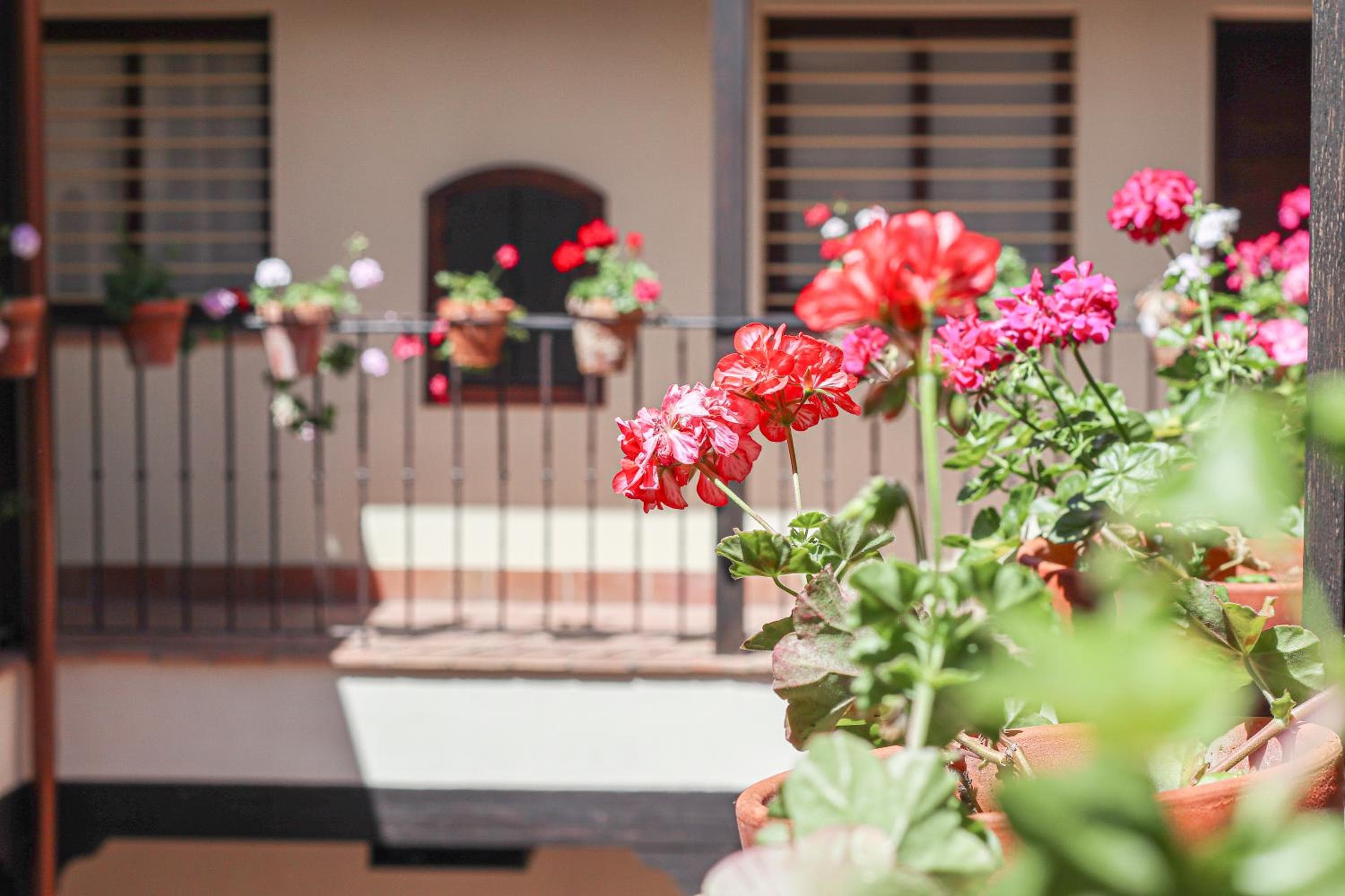 El encanto de Sevilla, perfecto para parejas y familias — 2