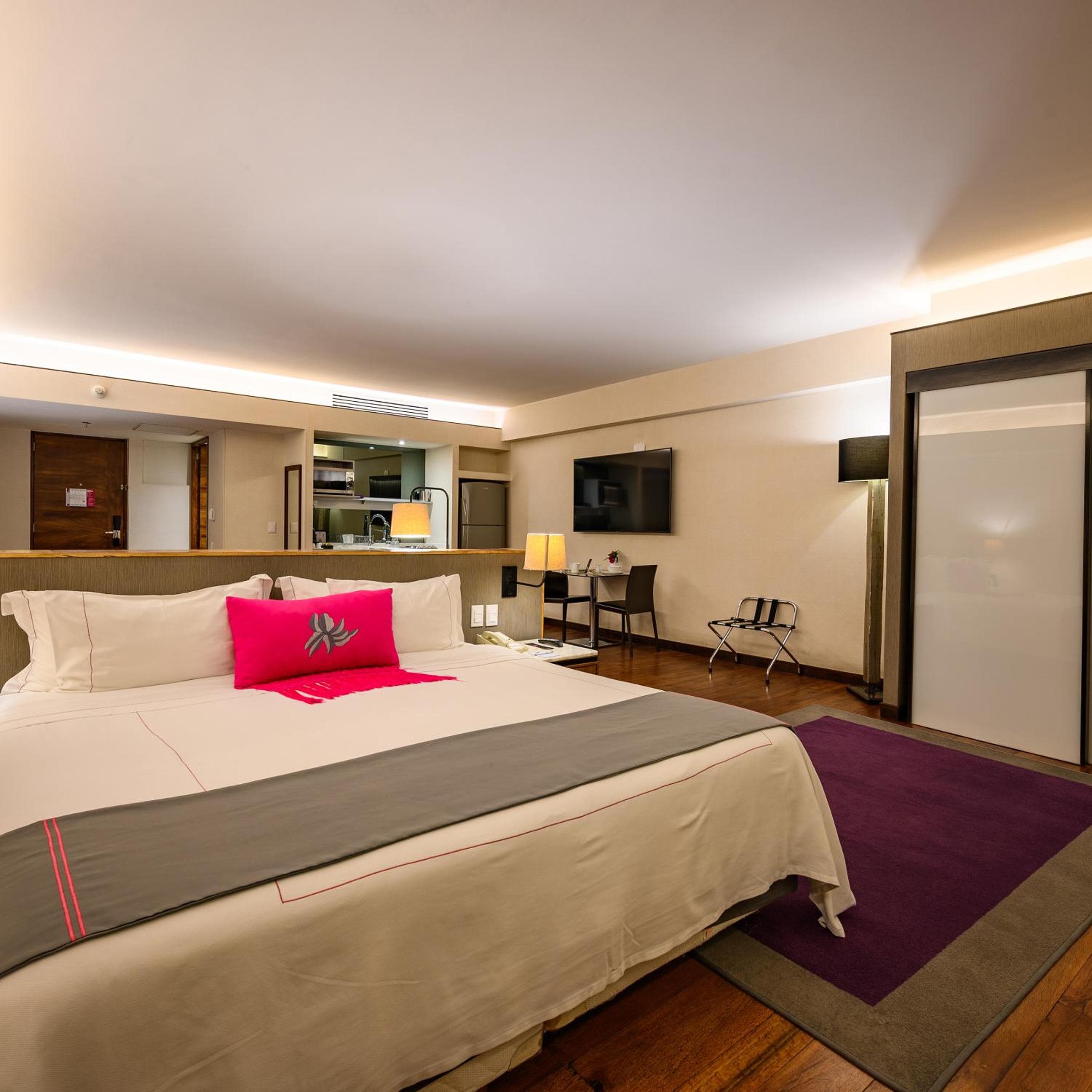 Las Suites Campos Eliseos — 28