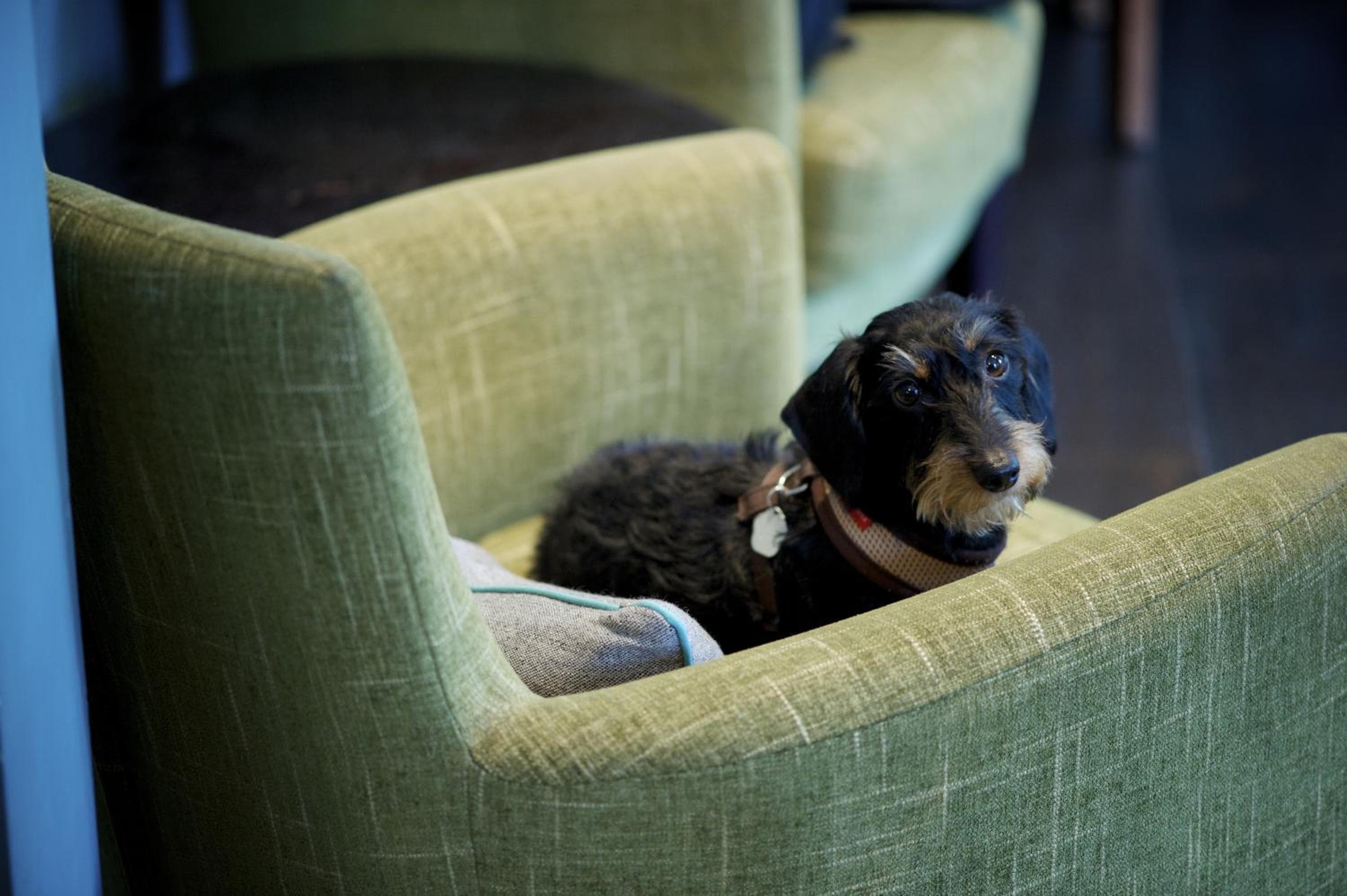 Hotel Lodge - Putney — 3