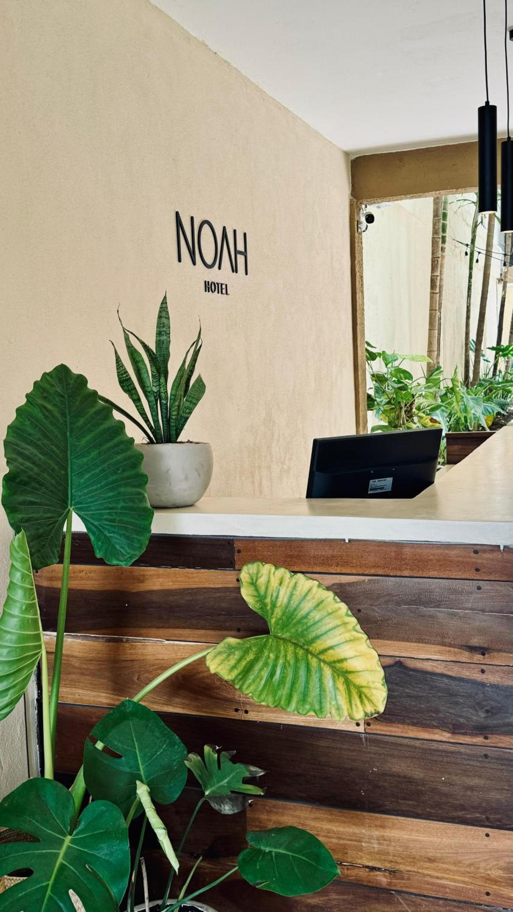 Hotel Noah Tulum — 1