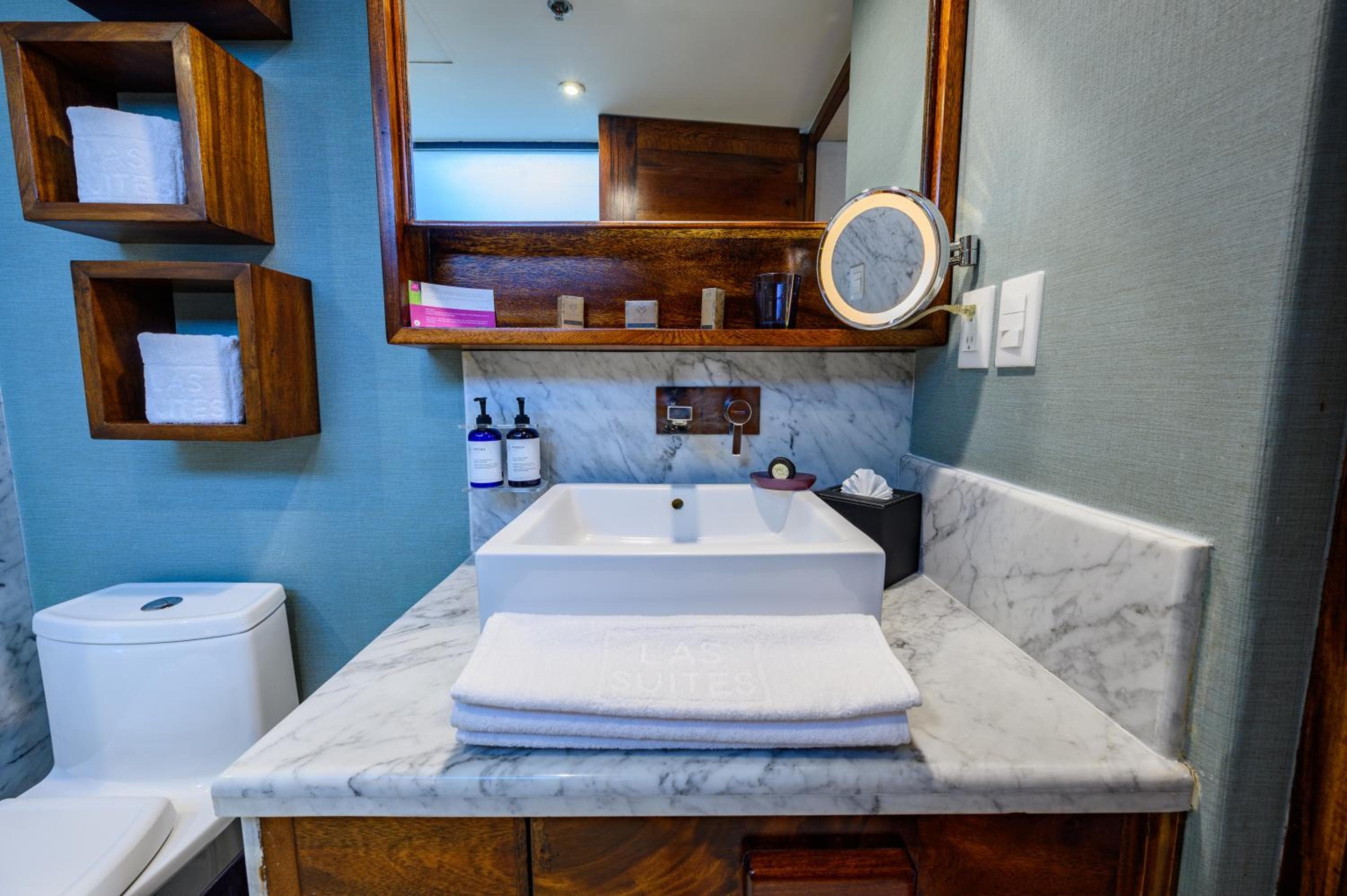 Las Suites Campos Eliseos — 8