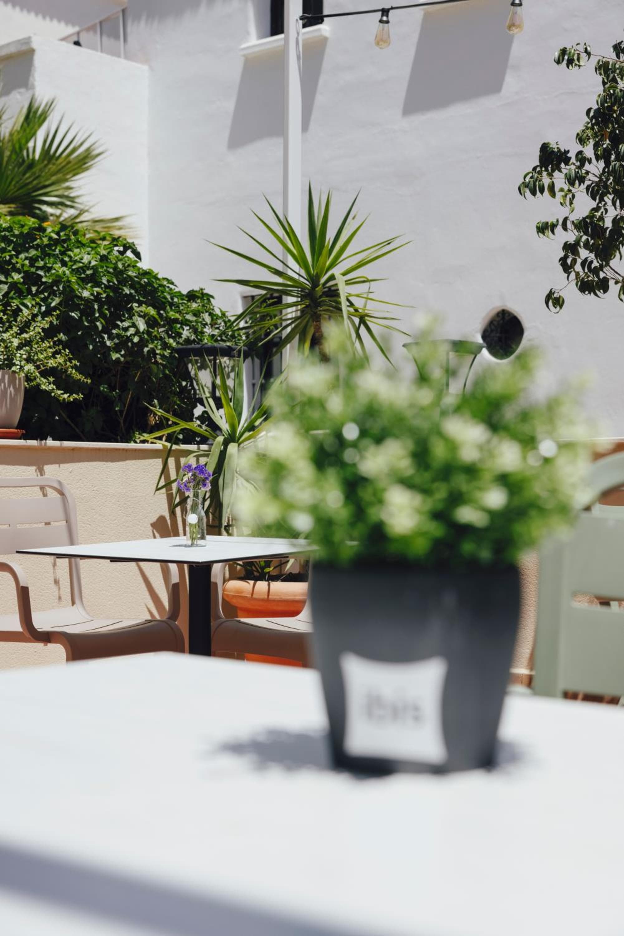 Ibis Sevilla — 30