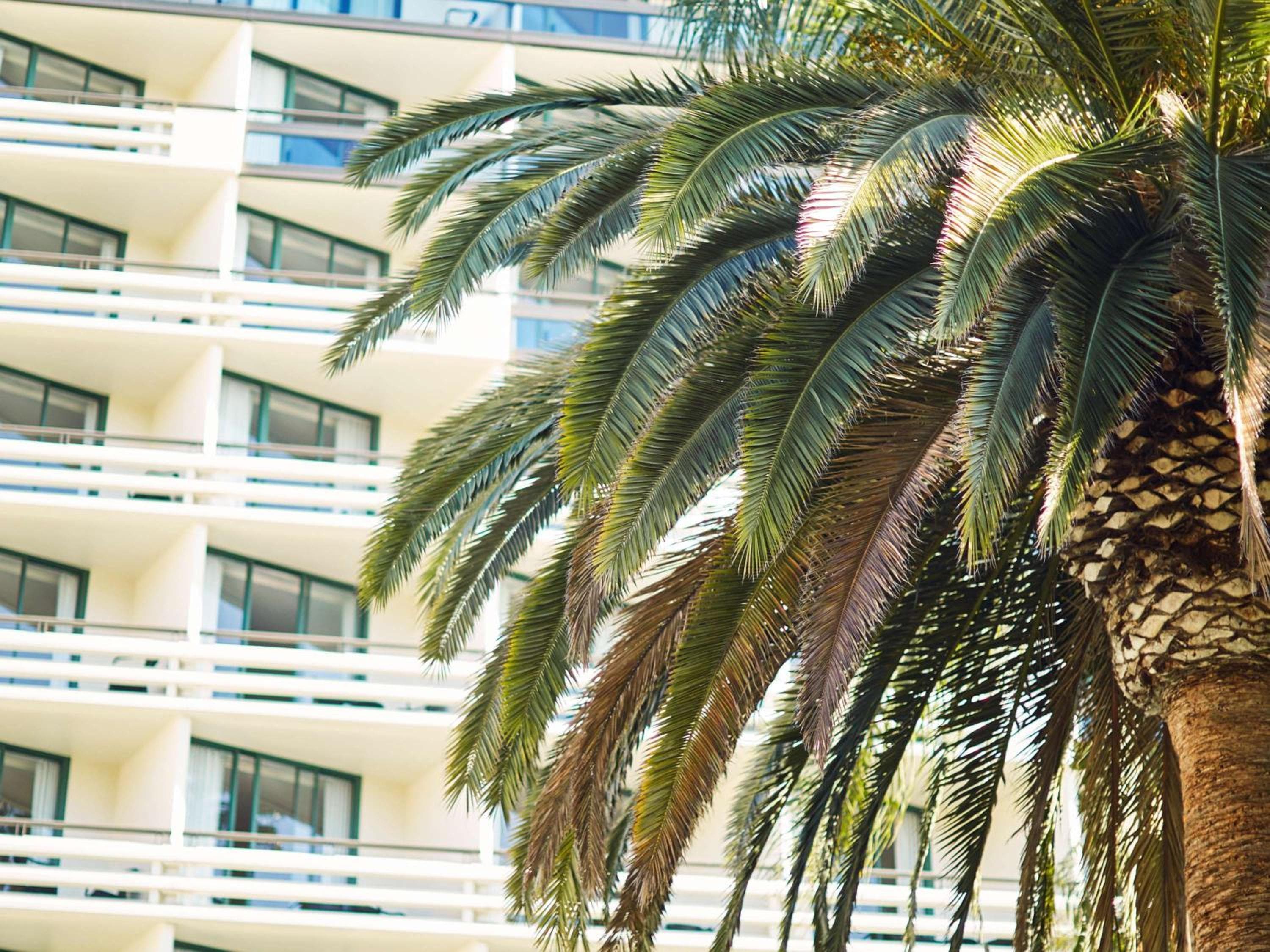 Fairmont Miramar Hotel & Bungalows — 12