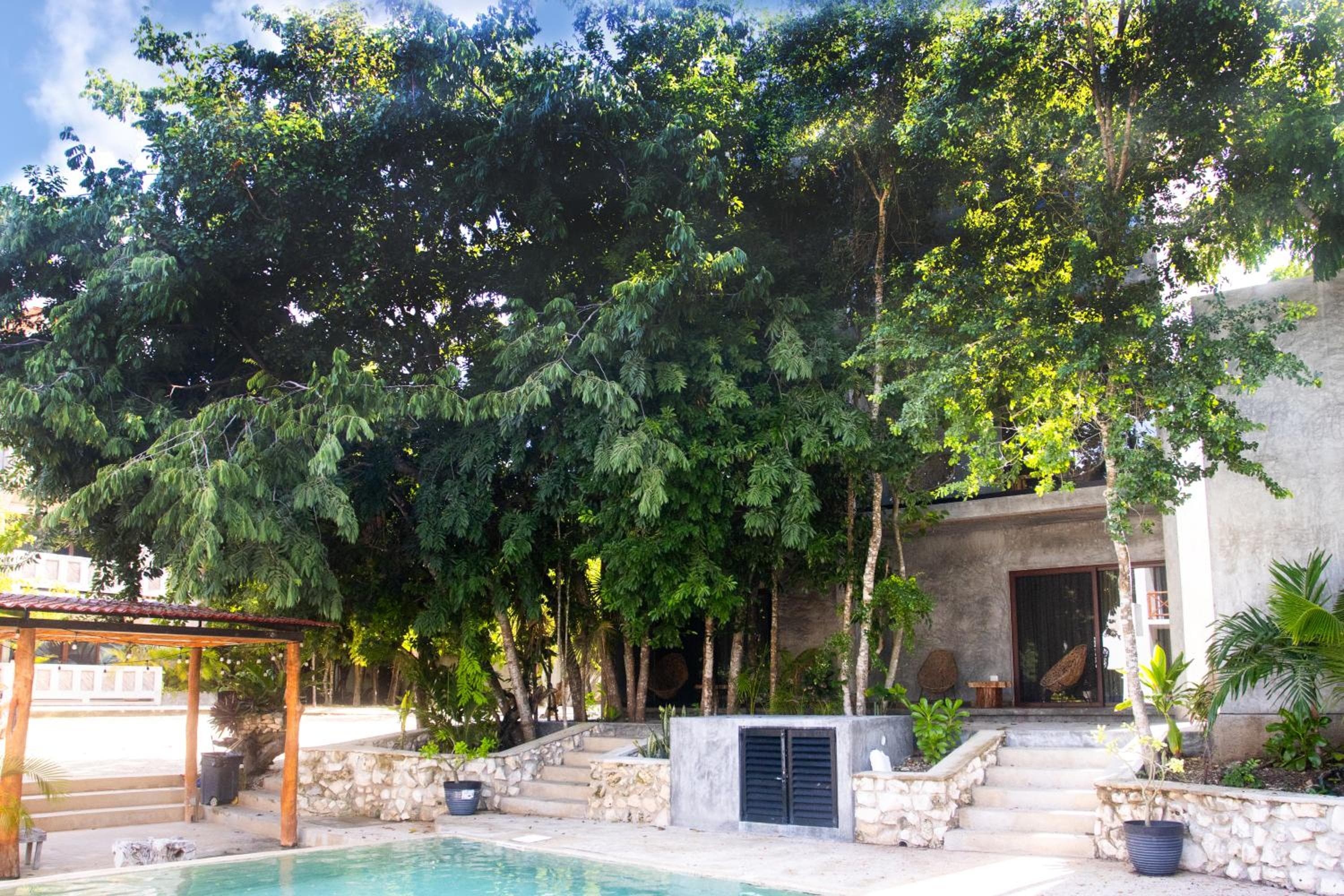 Hotel Casa Tortuga Tulum Cenotes Park Inclusive — 3