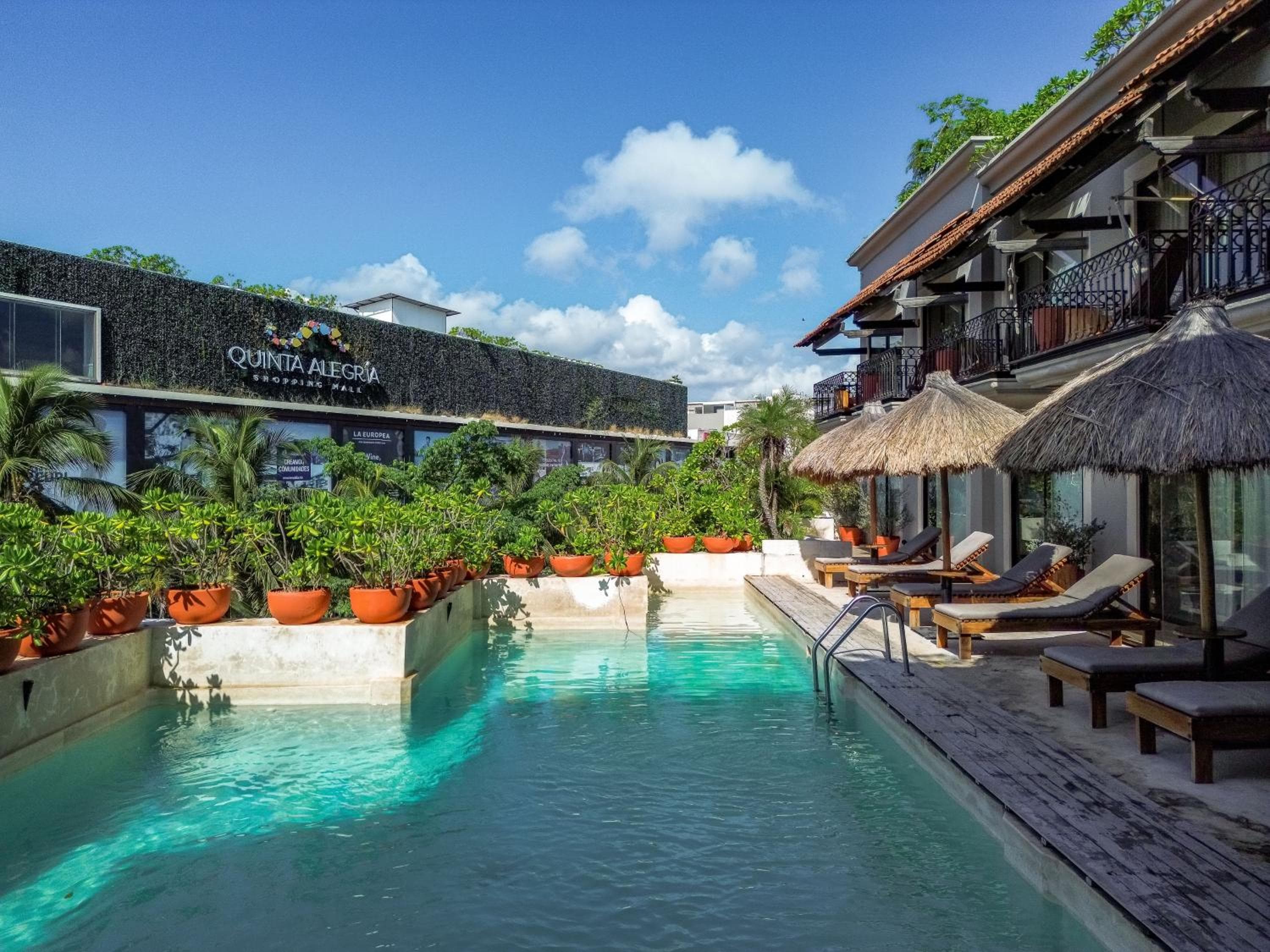 Caribbean Paradise Hotel Boutique & Spa di Voila Hoteles - 5th Av Playa del Carmen — 7