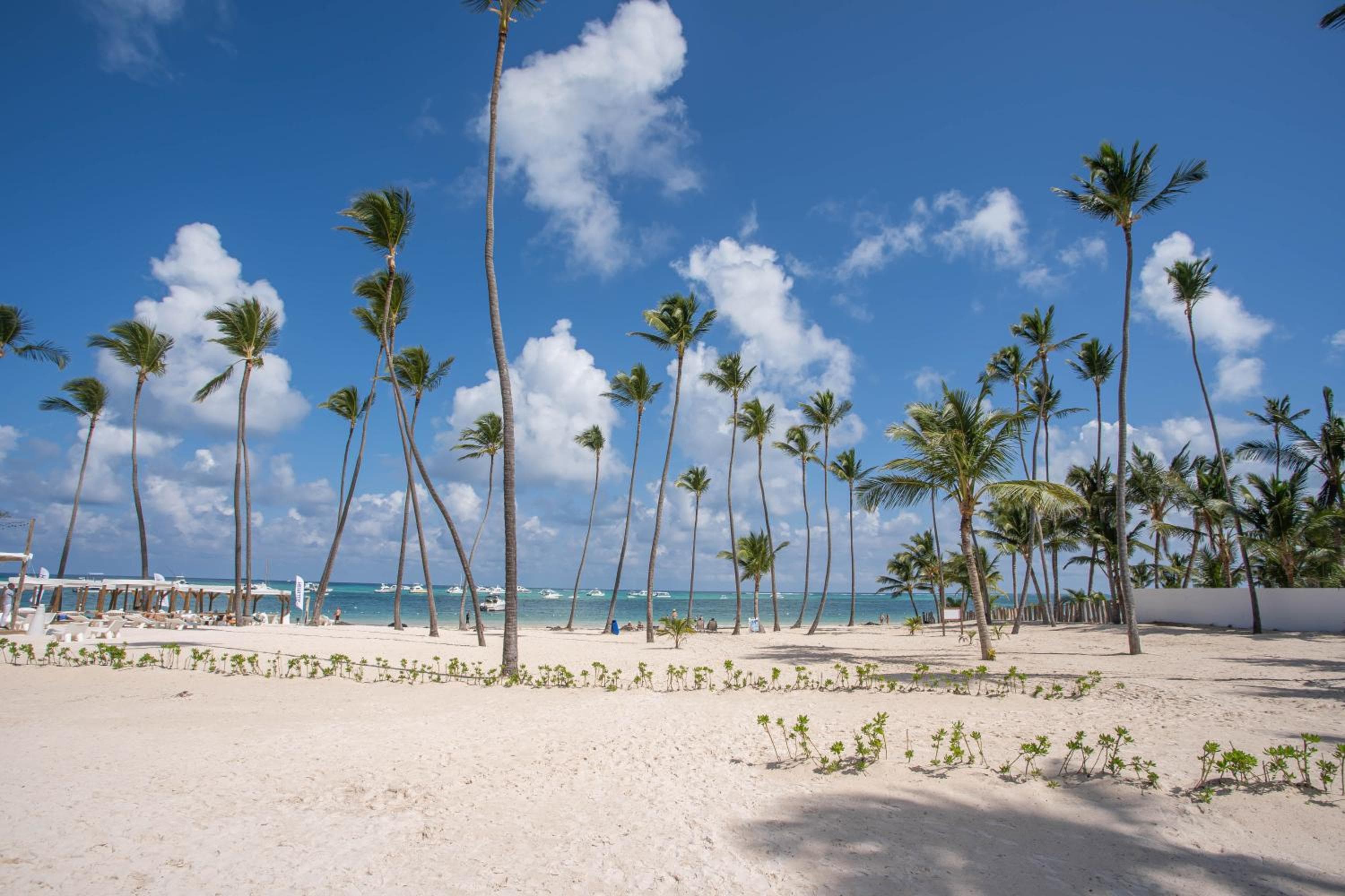 Xeliter Playa Coral, Bavaro — 14