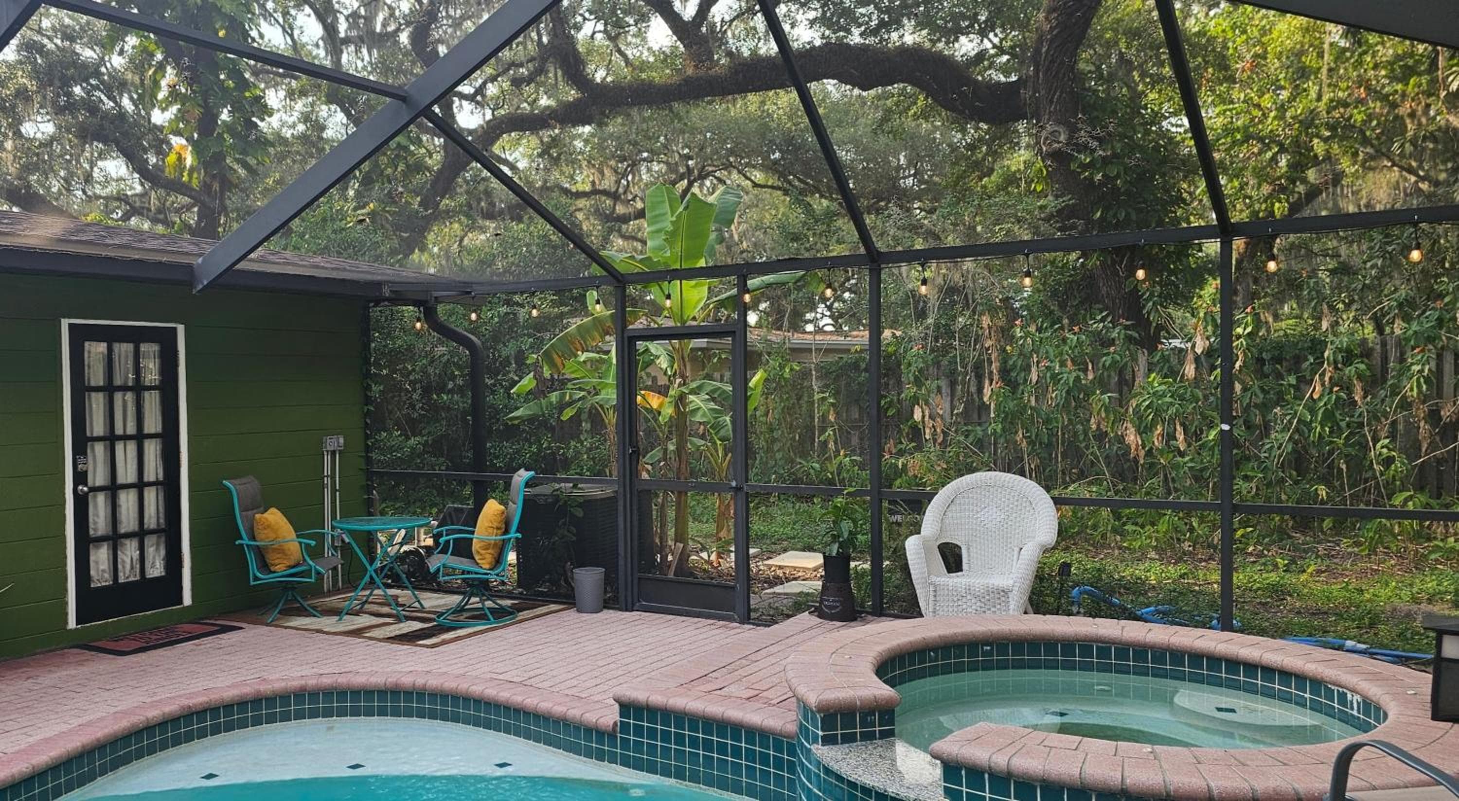 Jungle Oasis By Busch Gardens USF and Amphitheater — 2