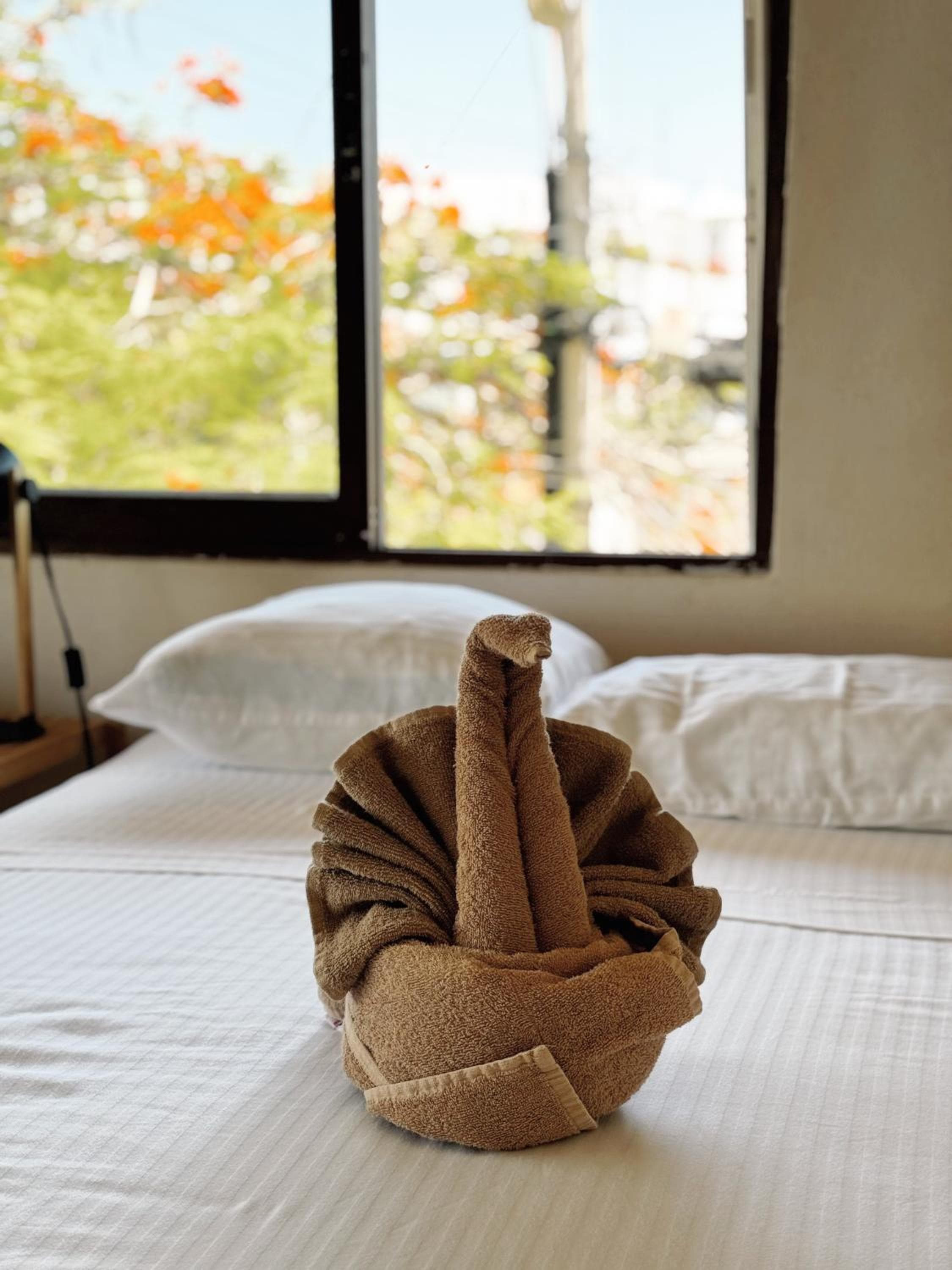 3B Wellness Hotel & Hostel Adults Only — 6