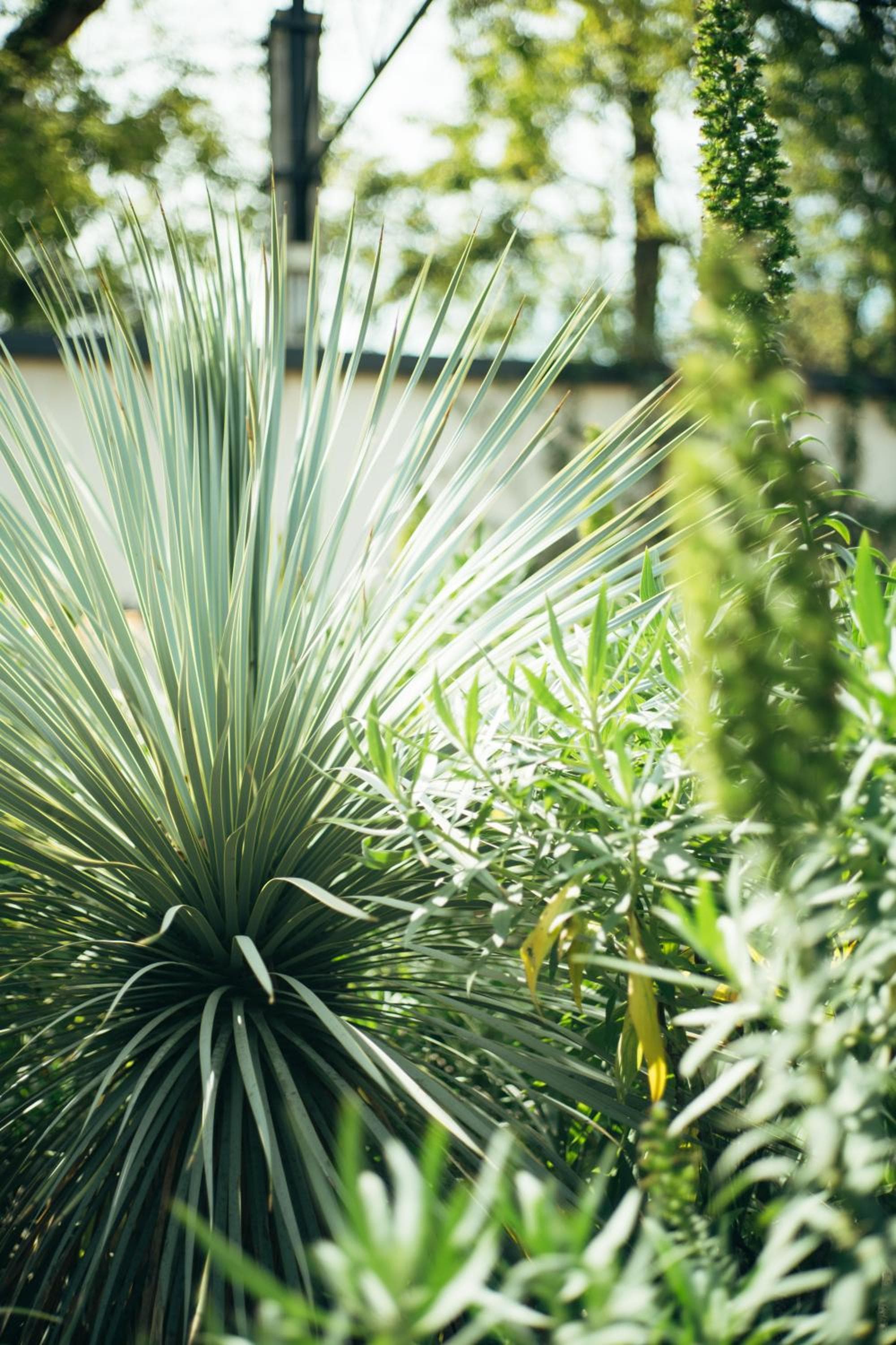 Horti 14 Borgo Trastevere Hotel — 13