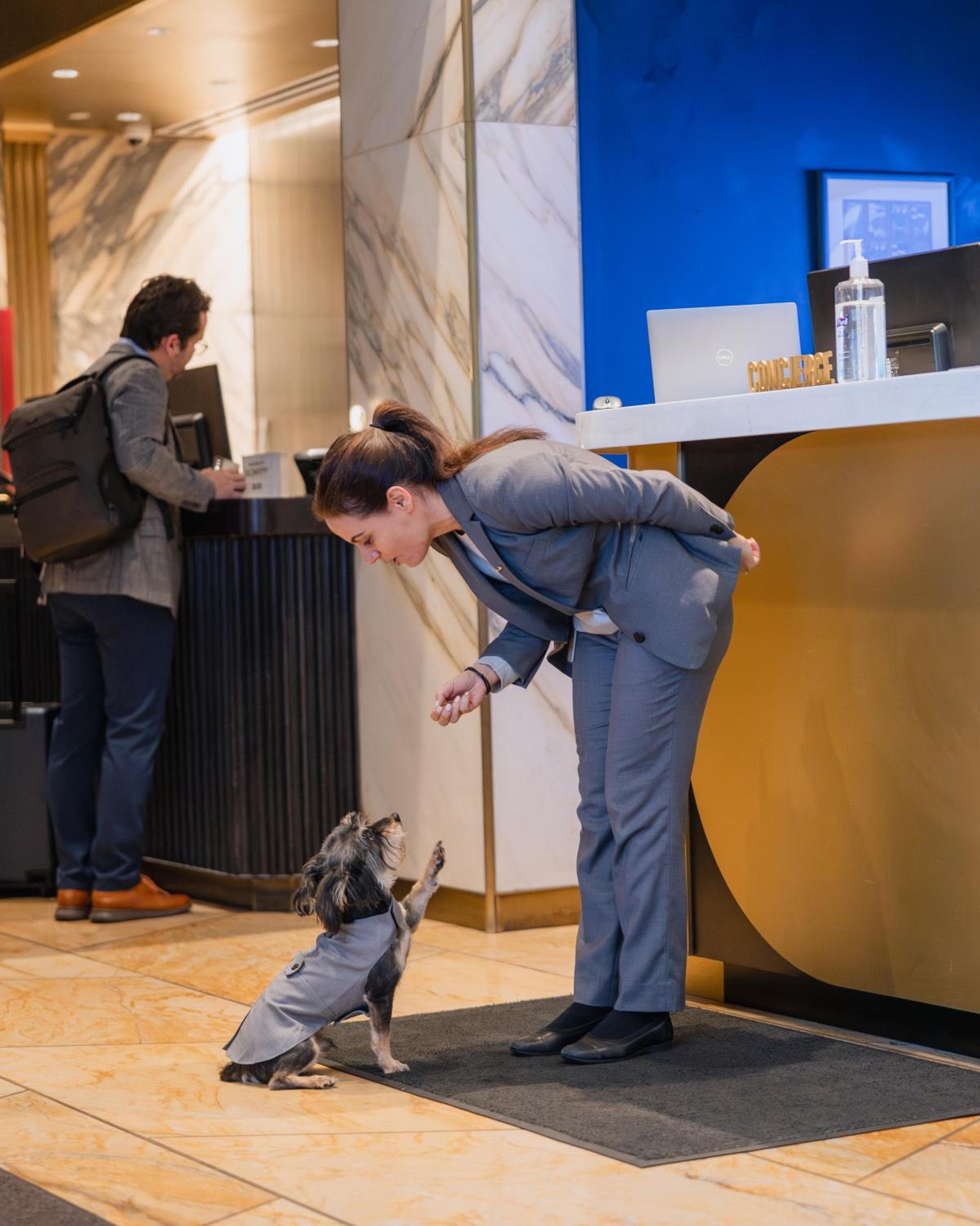 Le Meridien New York, Central Park by Marriott — 10