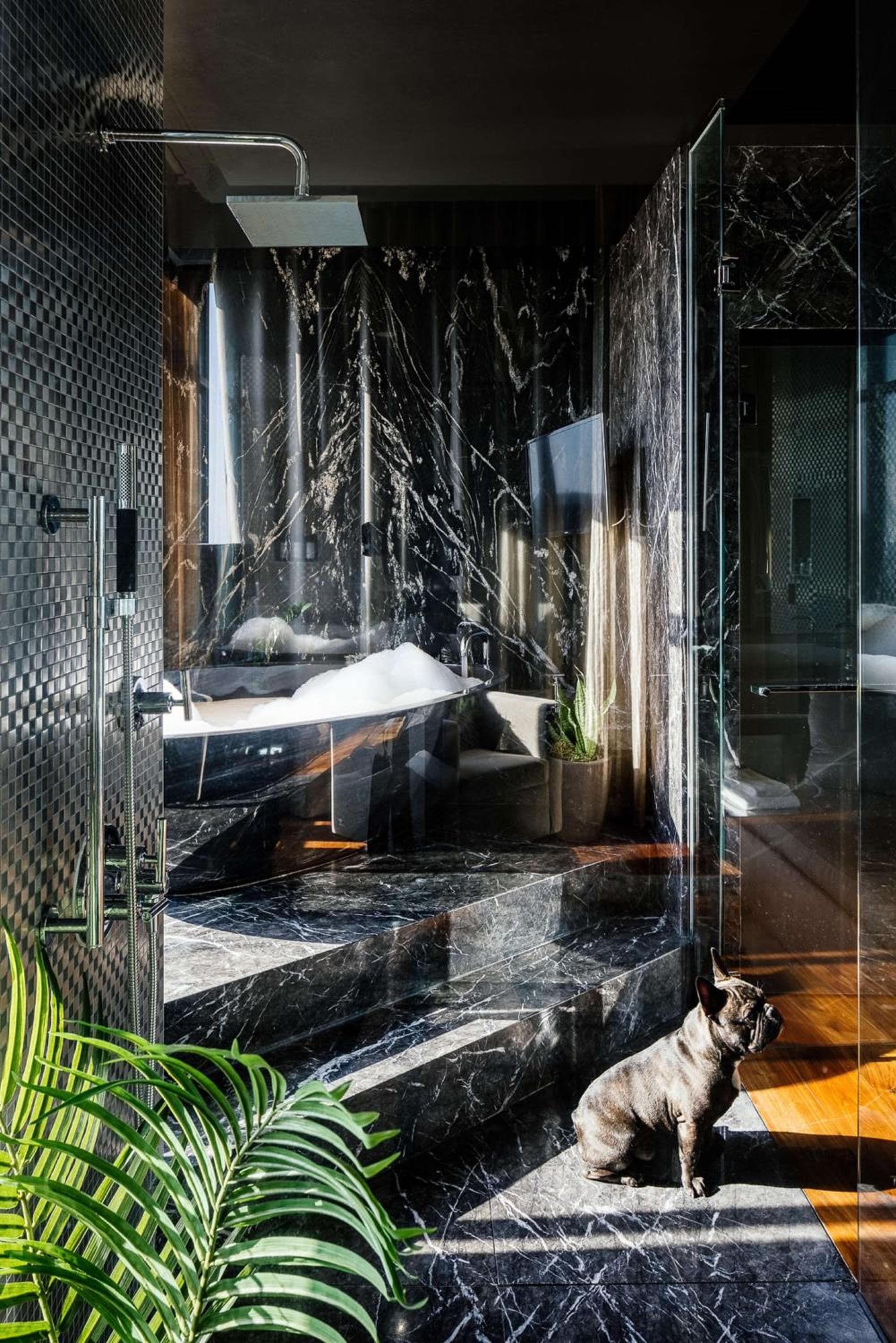 Dream Hollywood, by Hyatt — 19