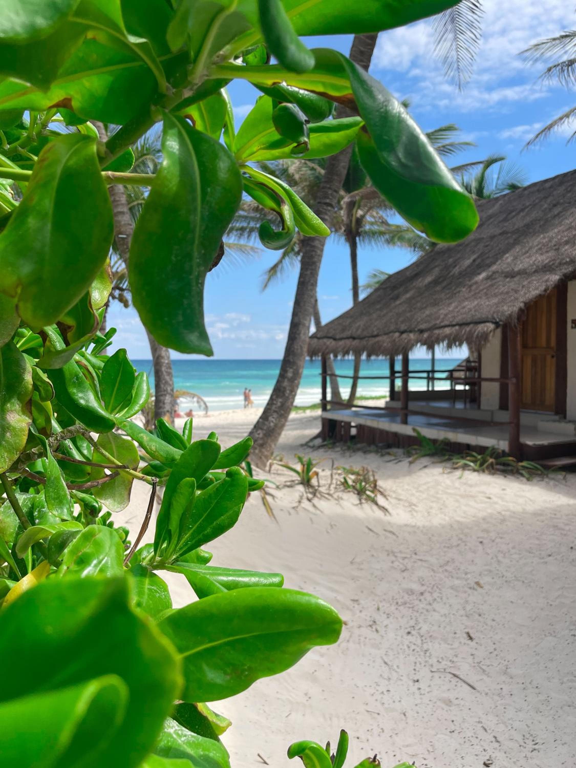 BT Live Tulum located at the party zone — 13