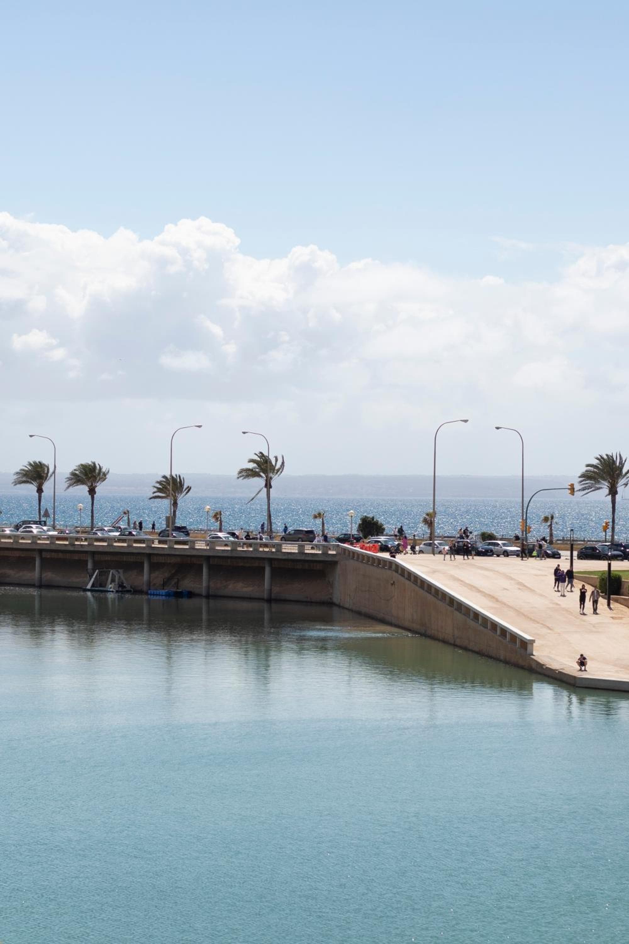 Portella Palma — 12