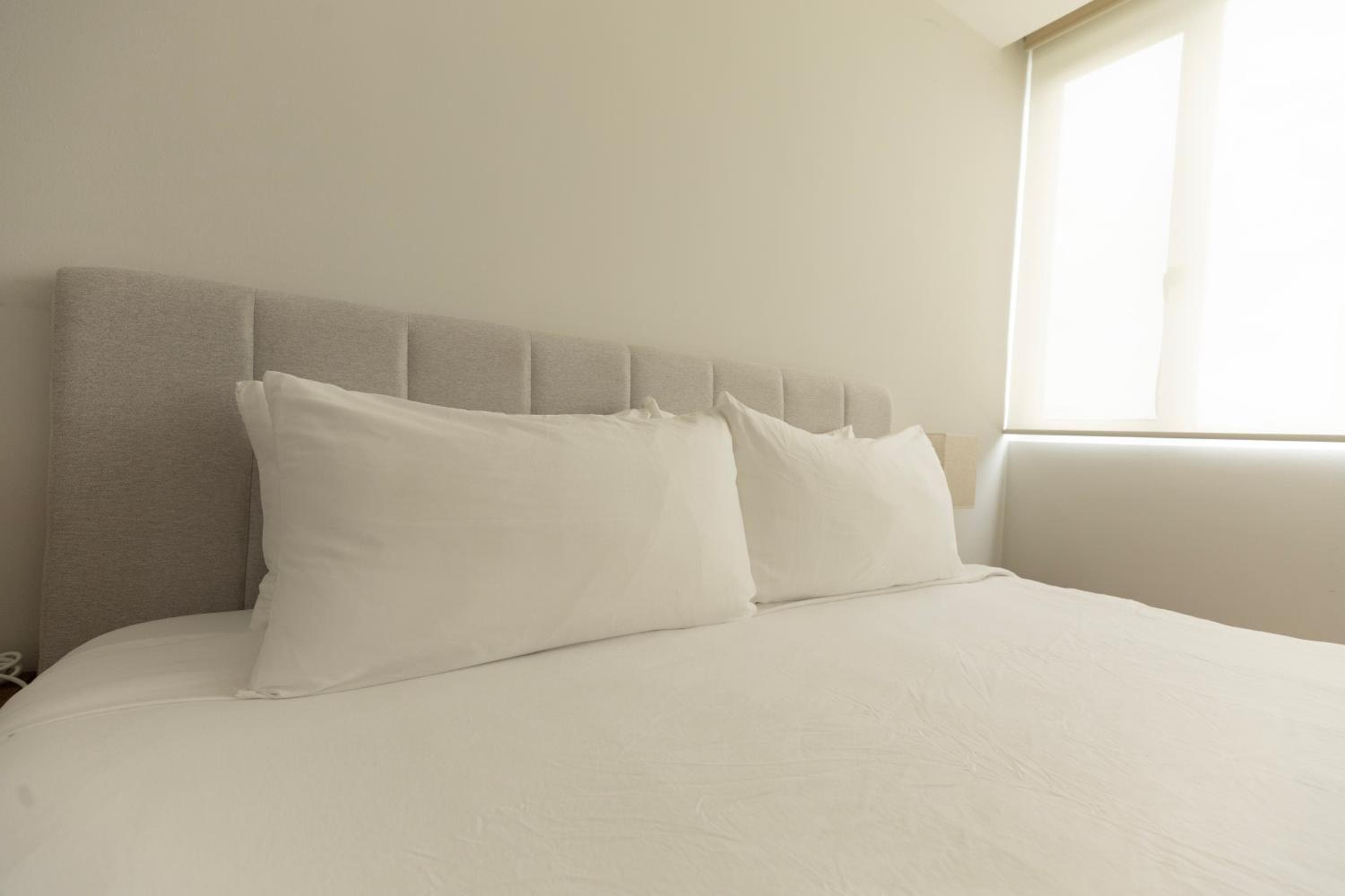 Ocean Breeze, Cancun Sanctuary - HiveNB — 5