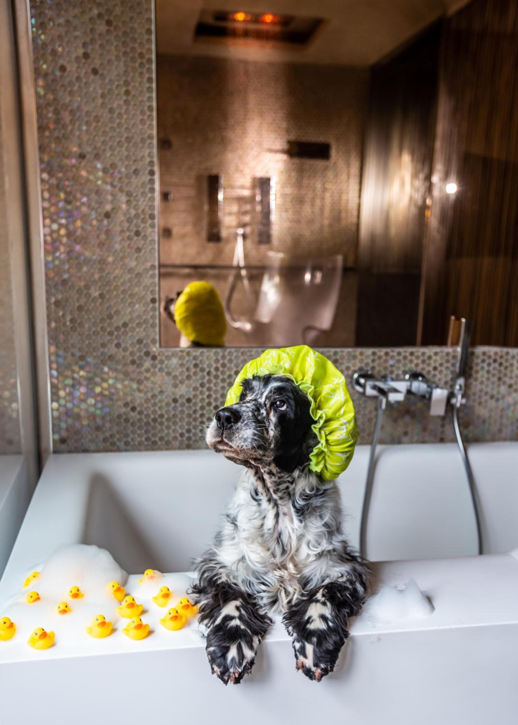 Milan Suite Hotel — 28