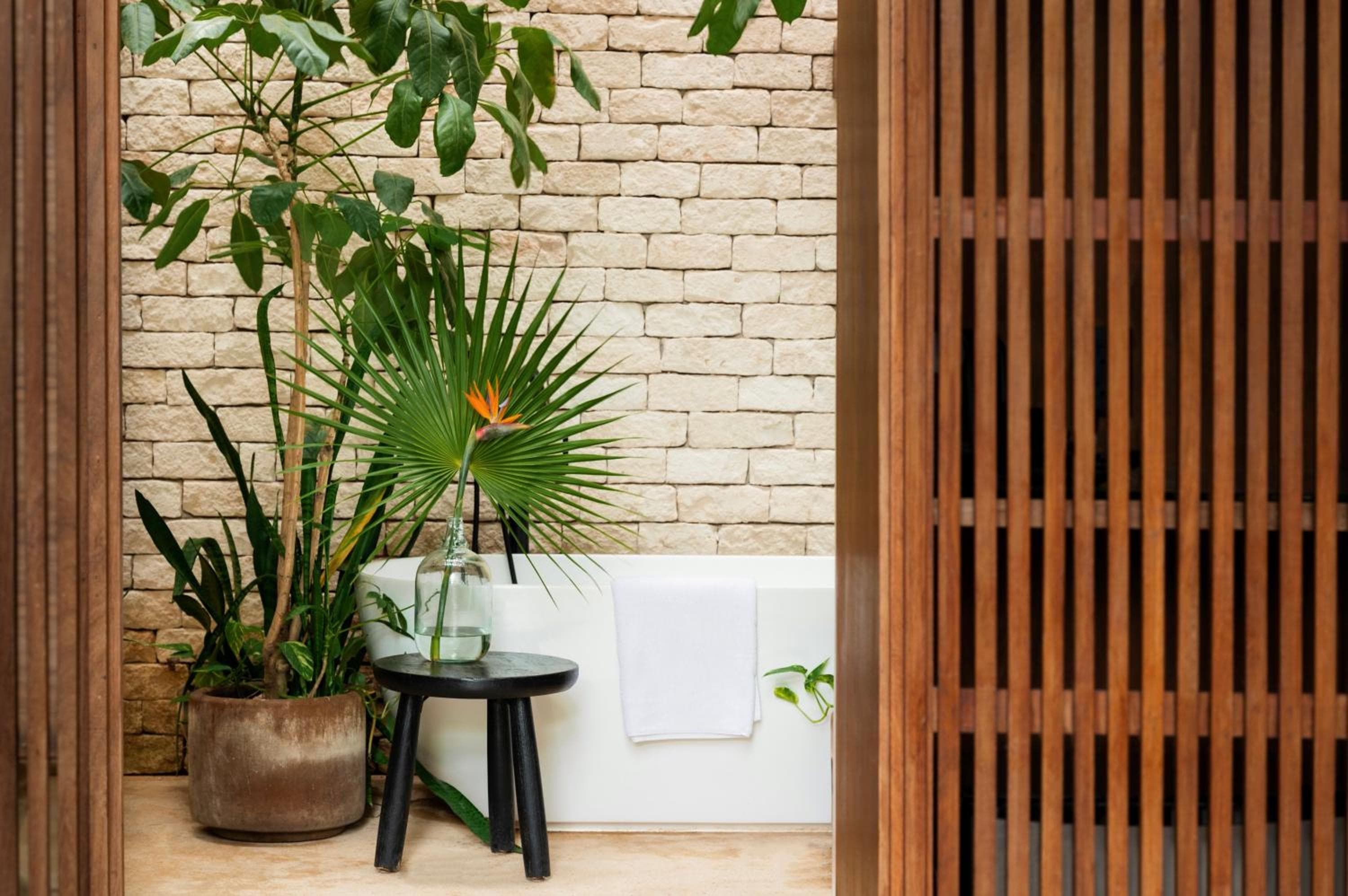 Jungle Keva Tulum Villa Lodges & Venue — 7