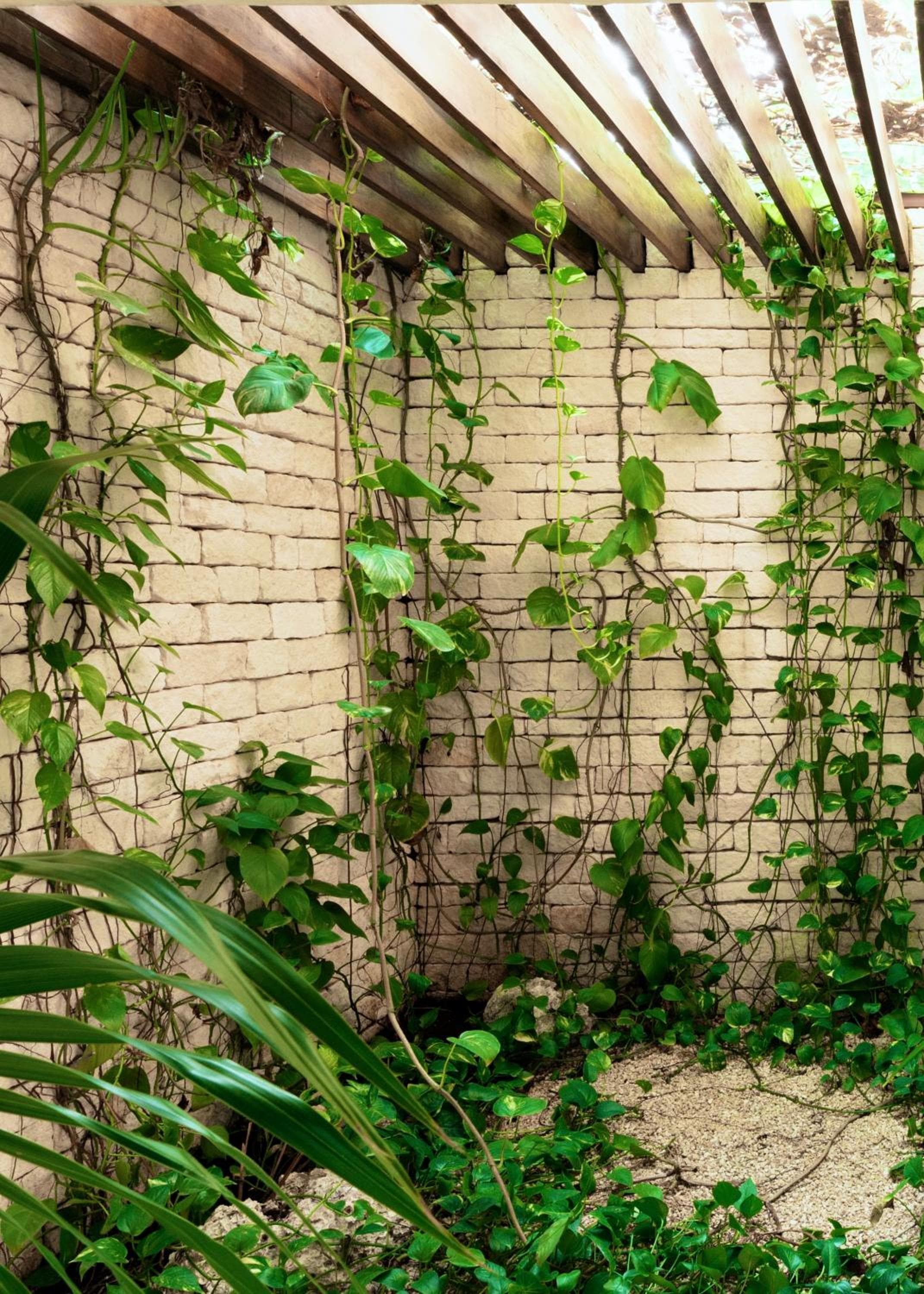 Jungle Keva Tulum Villa Lodges & Venue — 12