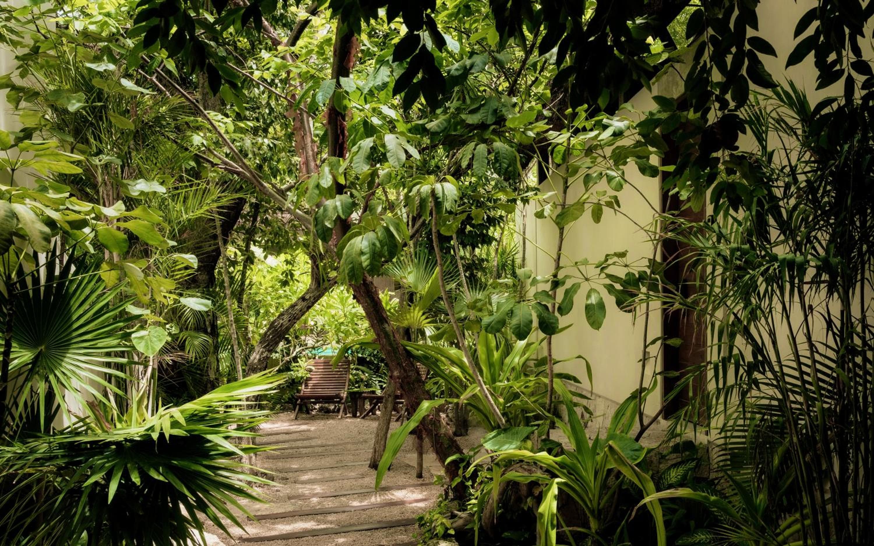 Jungle Keva Tulum Villa Lodges & Venue — 5