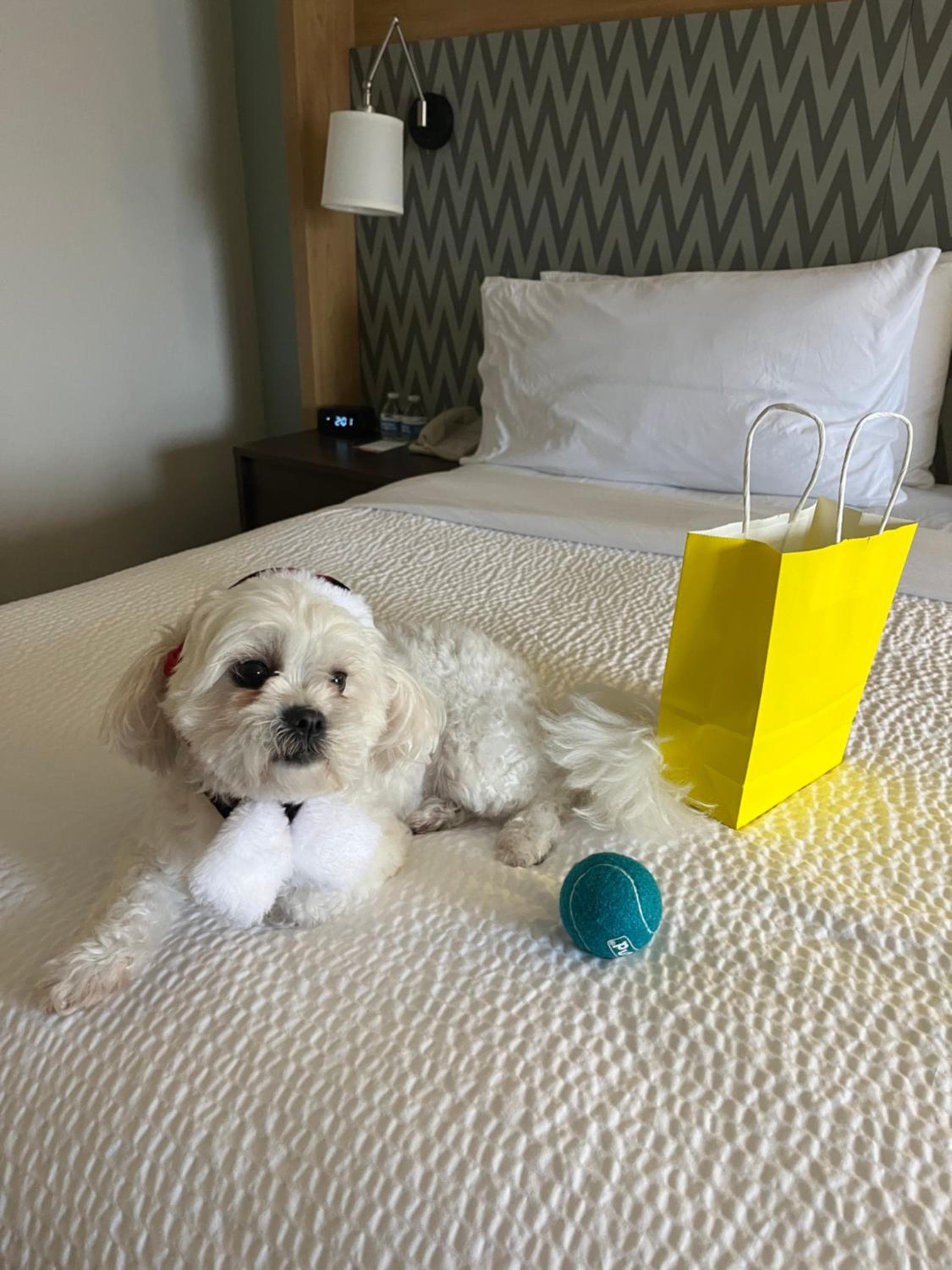 Holiday Inn Orlando International Airport, un hotel IHG — 16