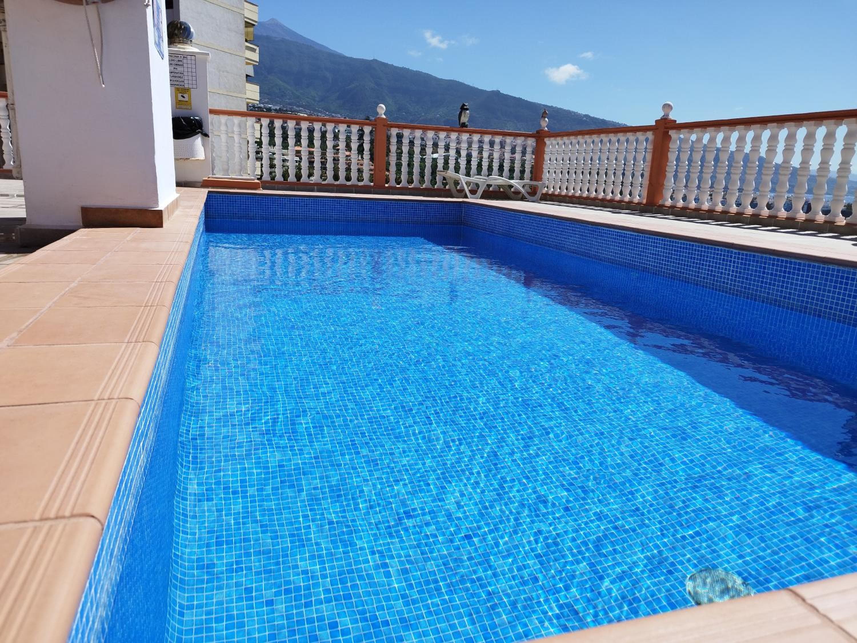 Rosi's Valle Luz — 1