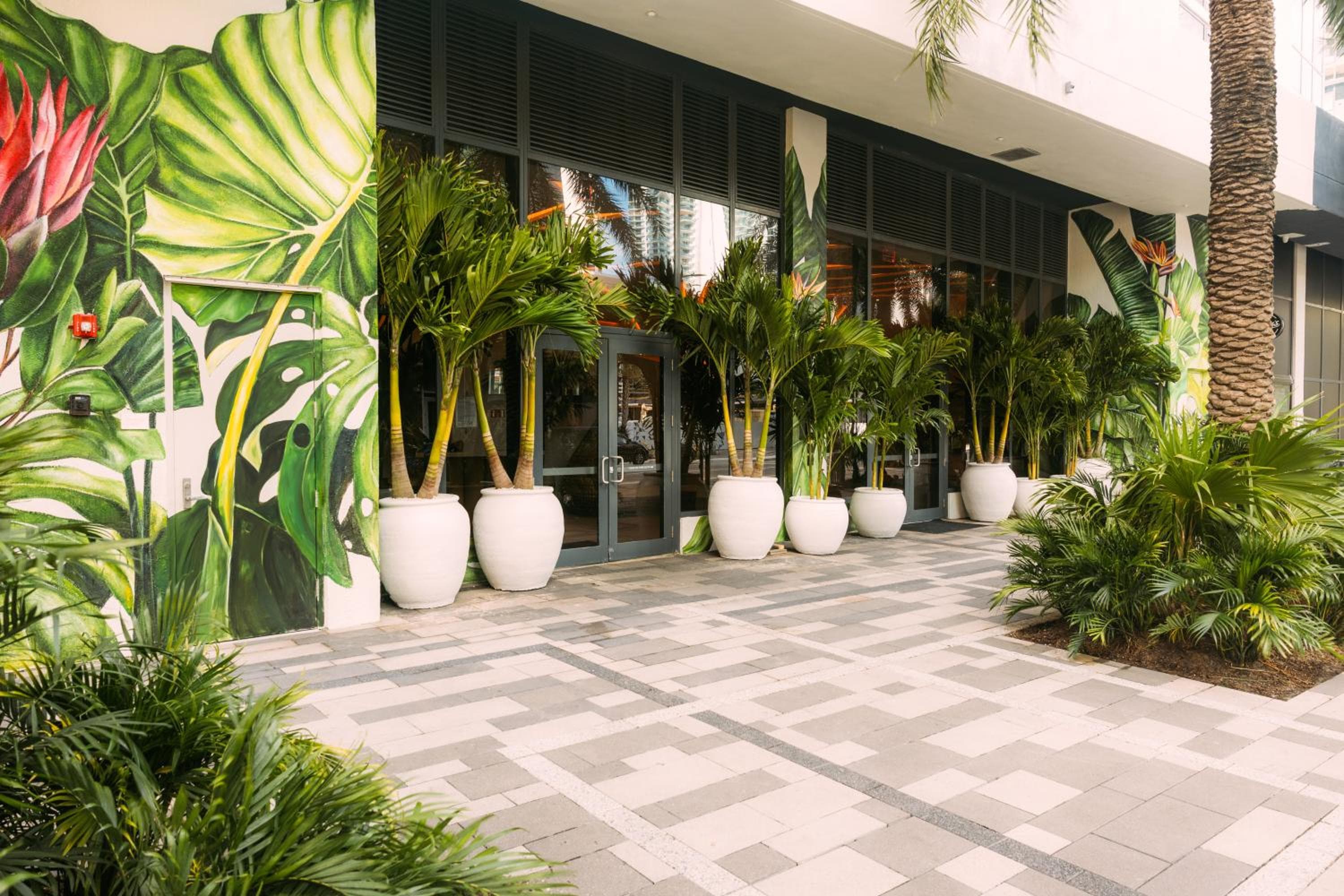Flow Miami — 25