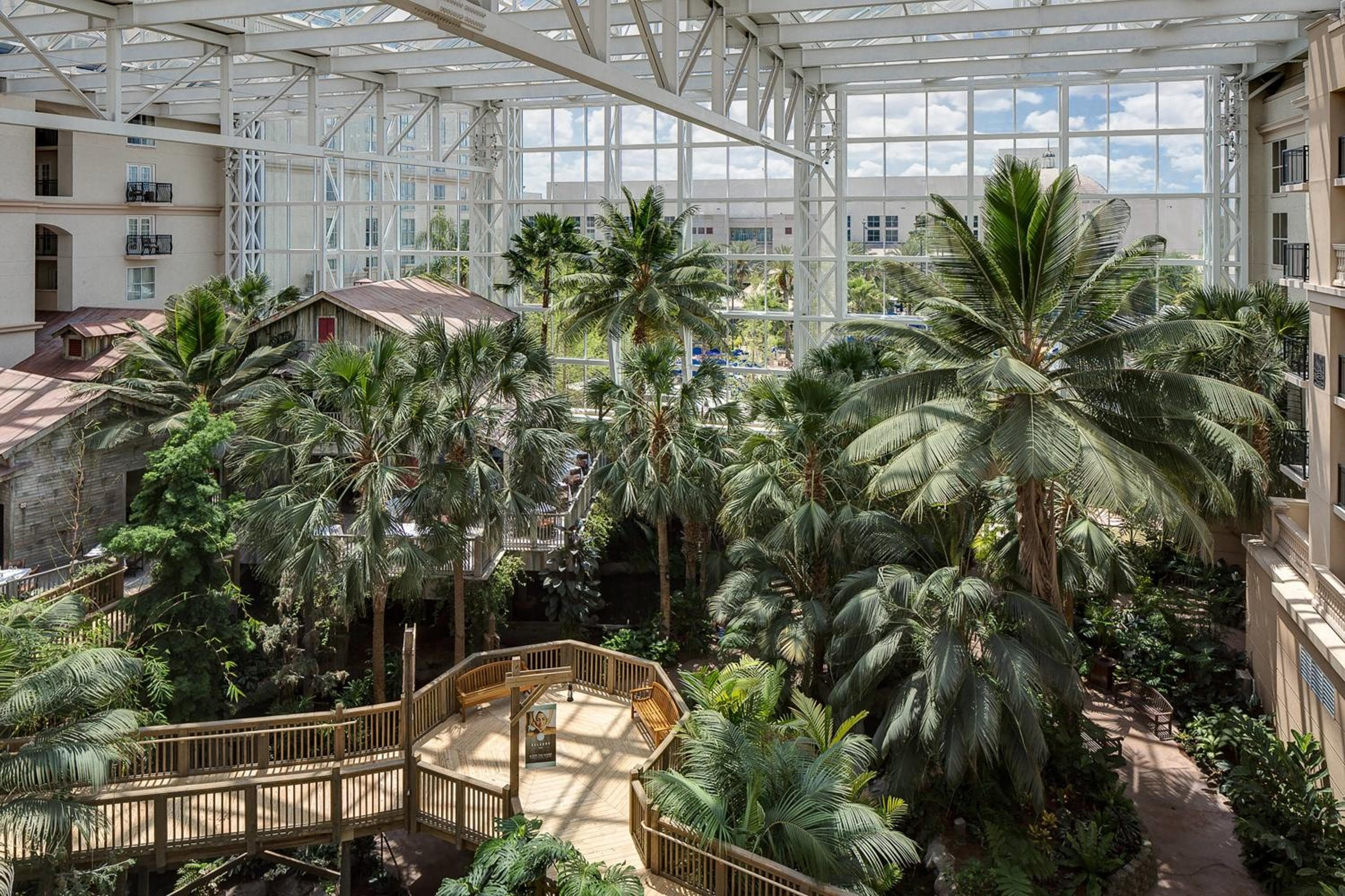 Gaylord Palms Resort & Tagungszentrum — 19