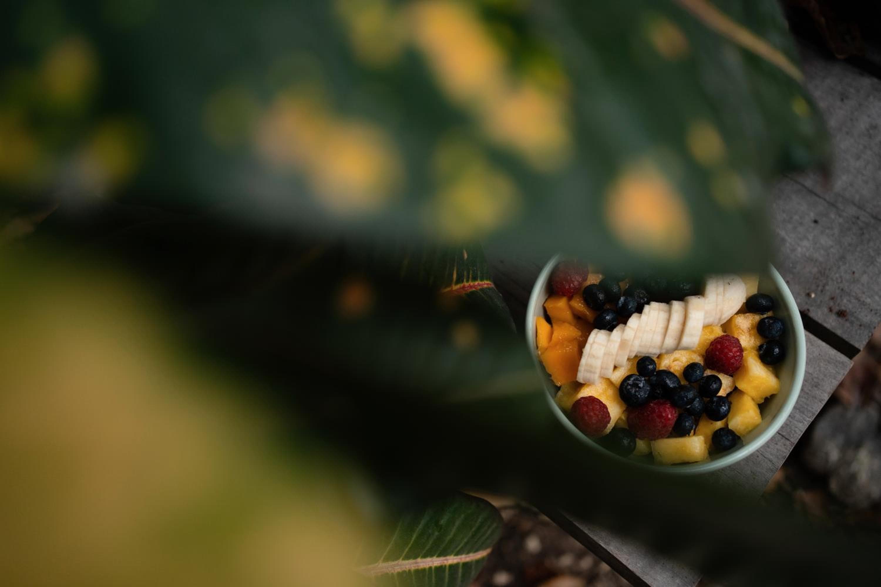Botánica Tulum — 26