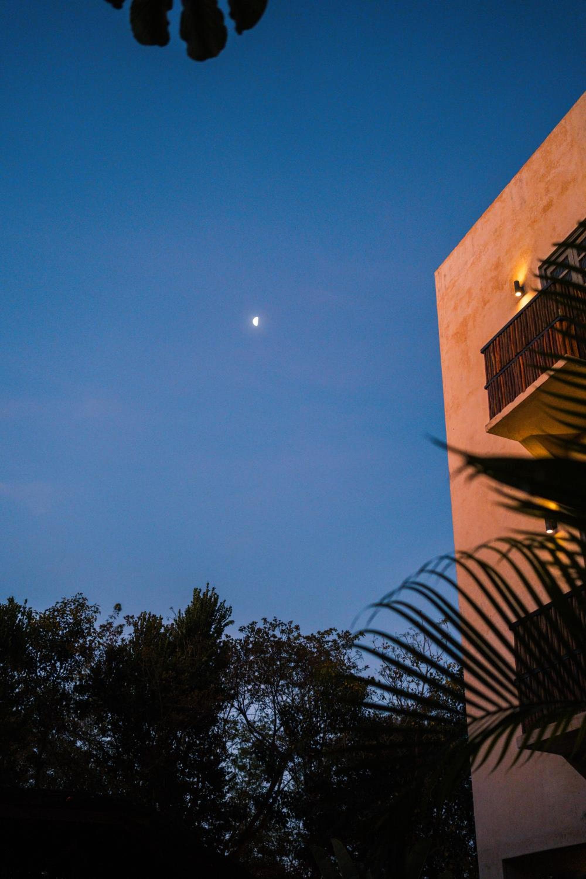 Botánica Tulum — 29