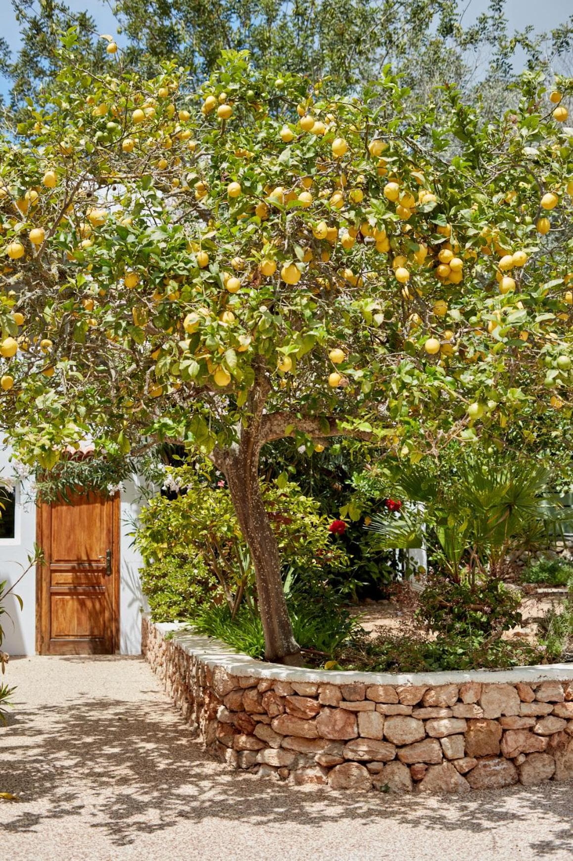 Valley Club Ibiza - Boutique Agroturismo — 8