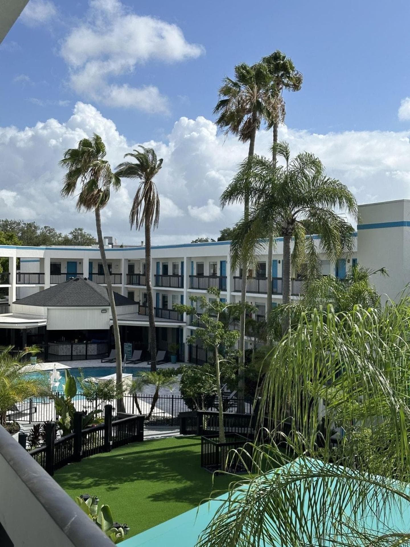 OASIS BAY SUITES, Tampa, Busch Gardens, USF — 17