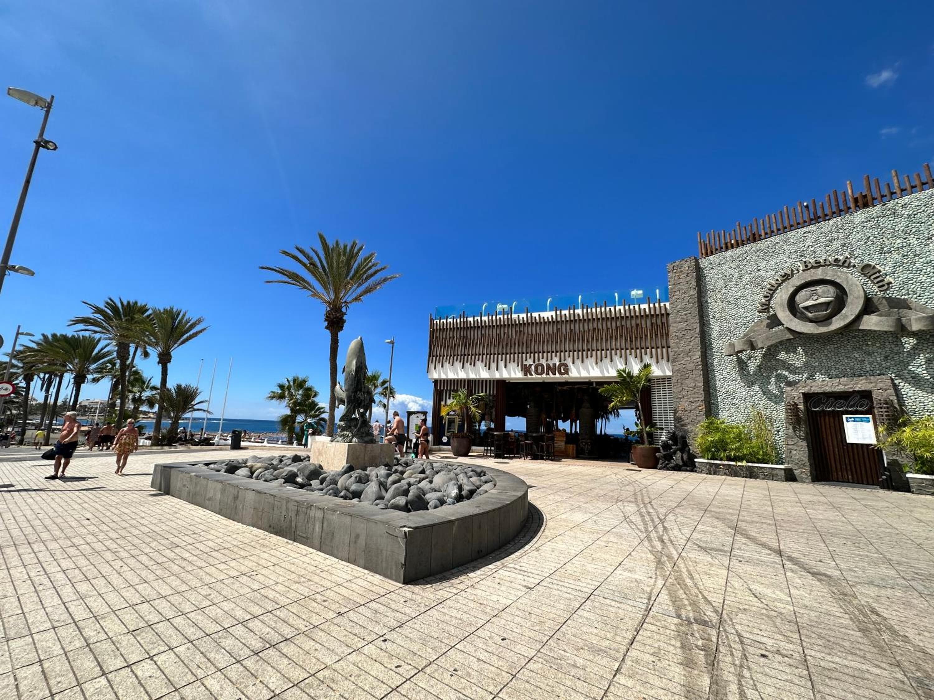 Playa de las Americas - Torres de Yomely — 5