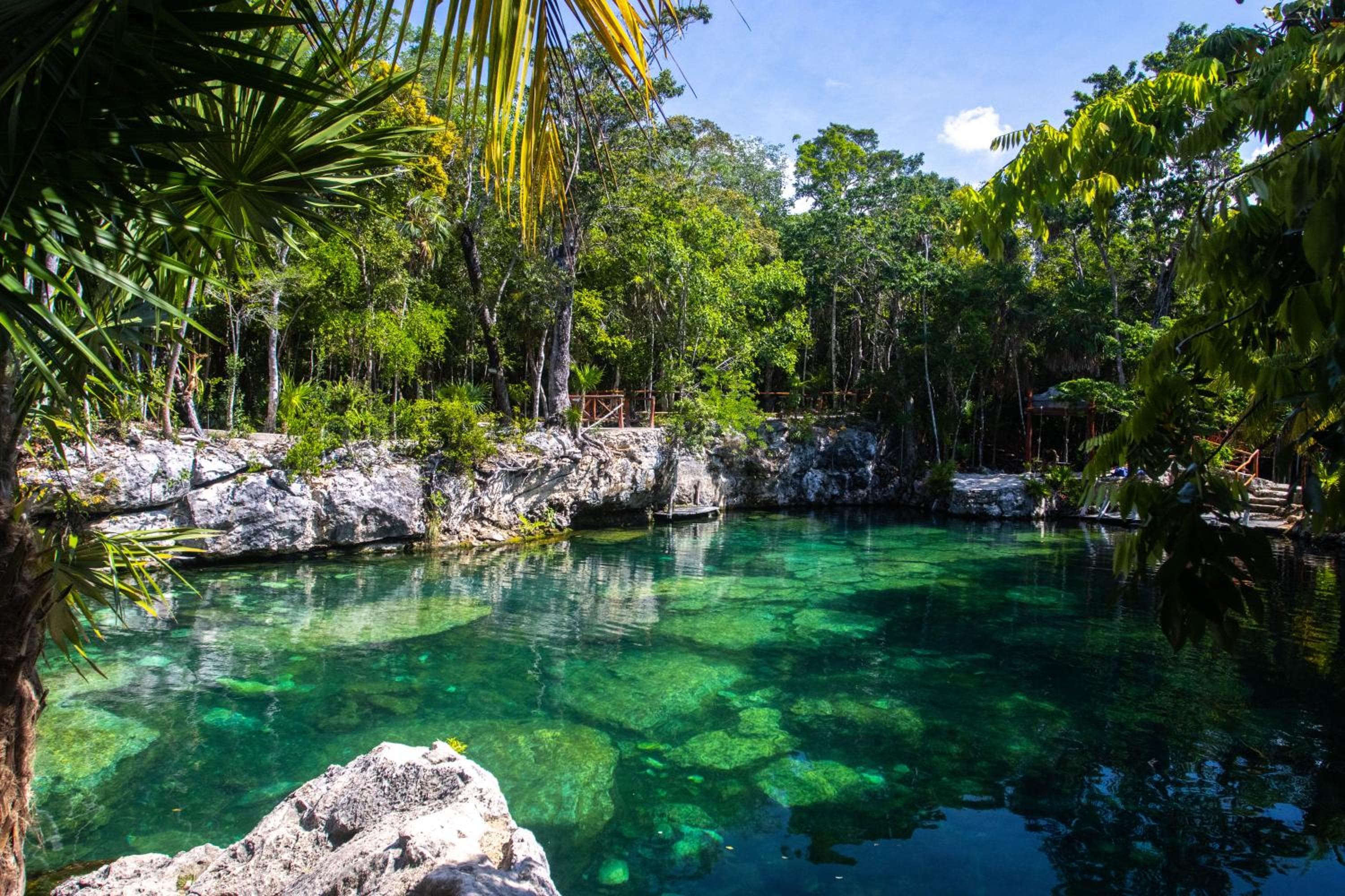 Hotel Casa Tortuga Tulum - Cenotes Park Inclusive — 19