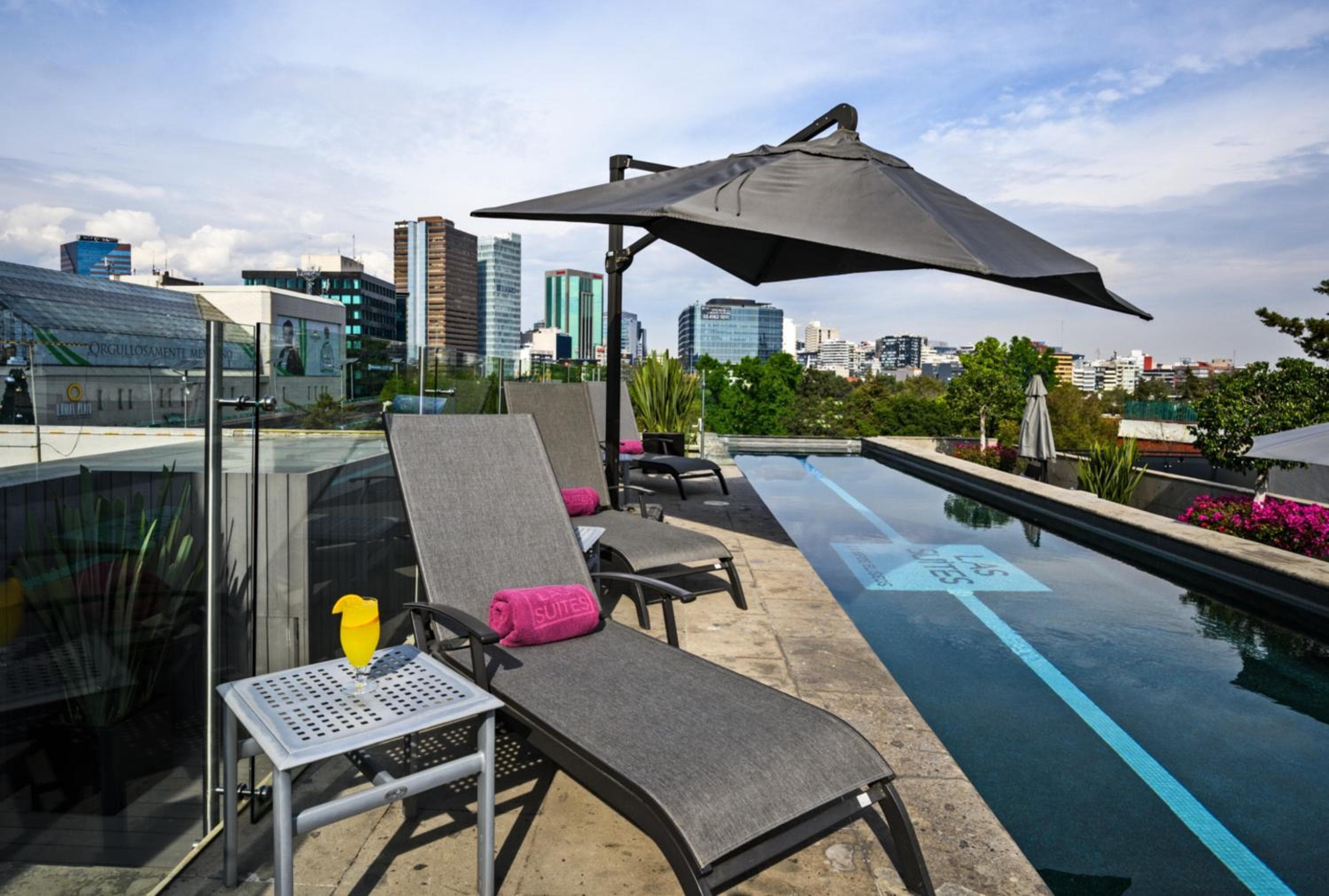 Las Suites Campos Eliseos — 30