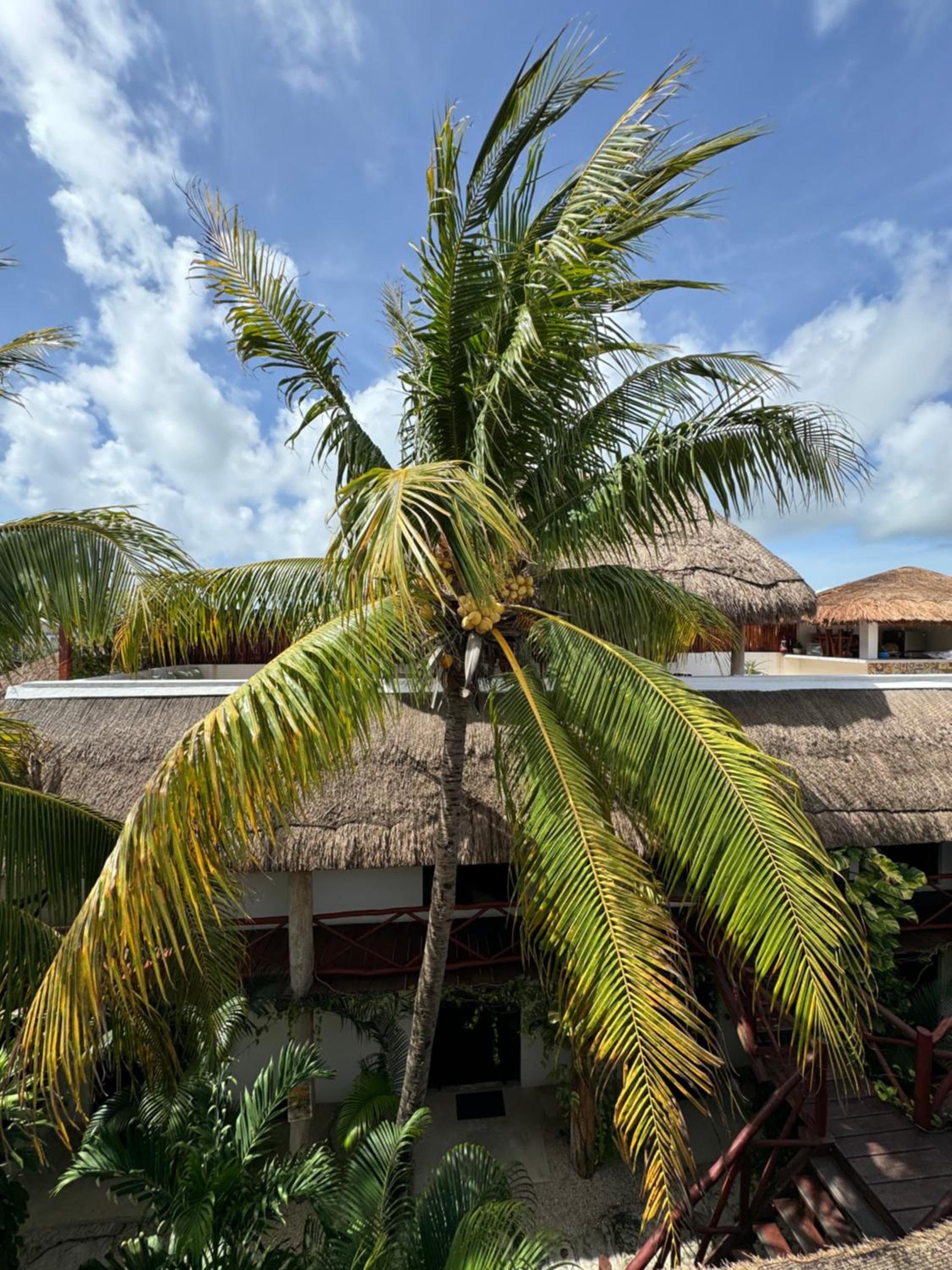 Kin Ha Tulum Hotel — 8