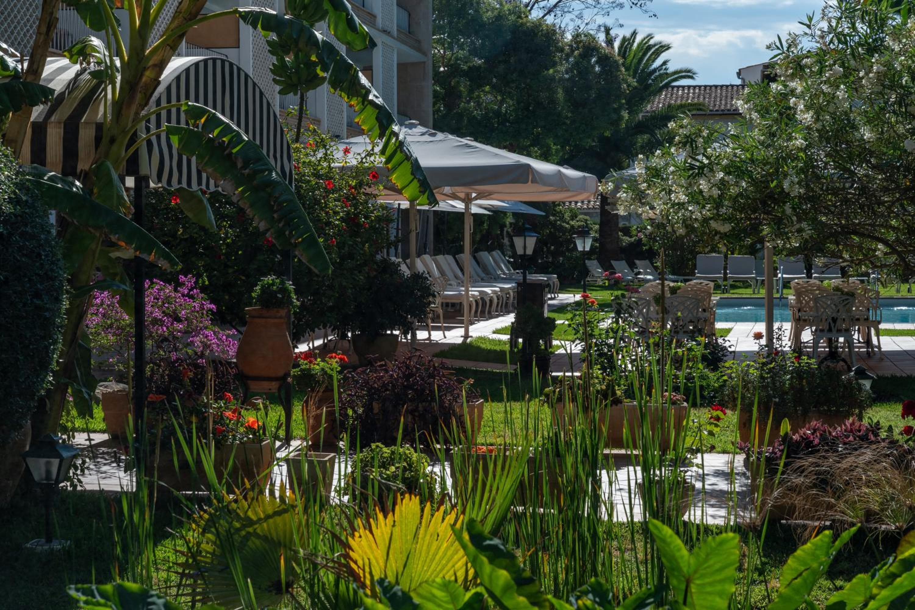 Hotel Araxa - Adults Only — 25