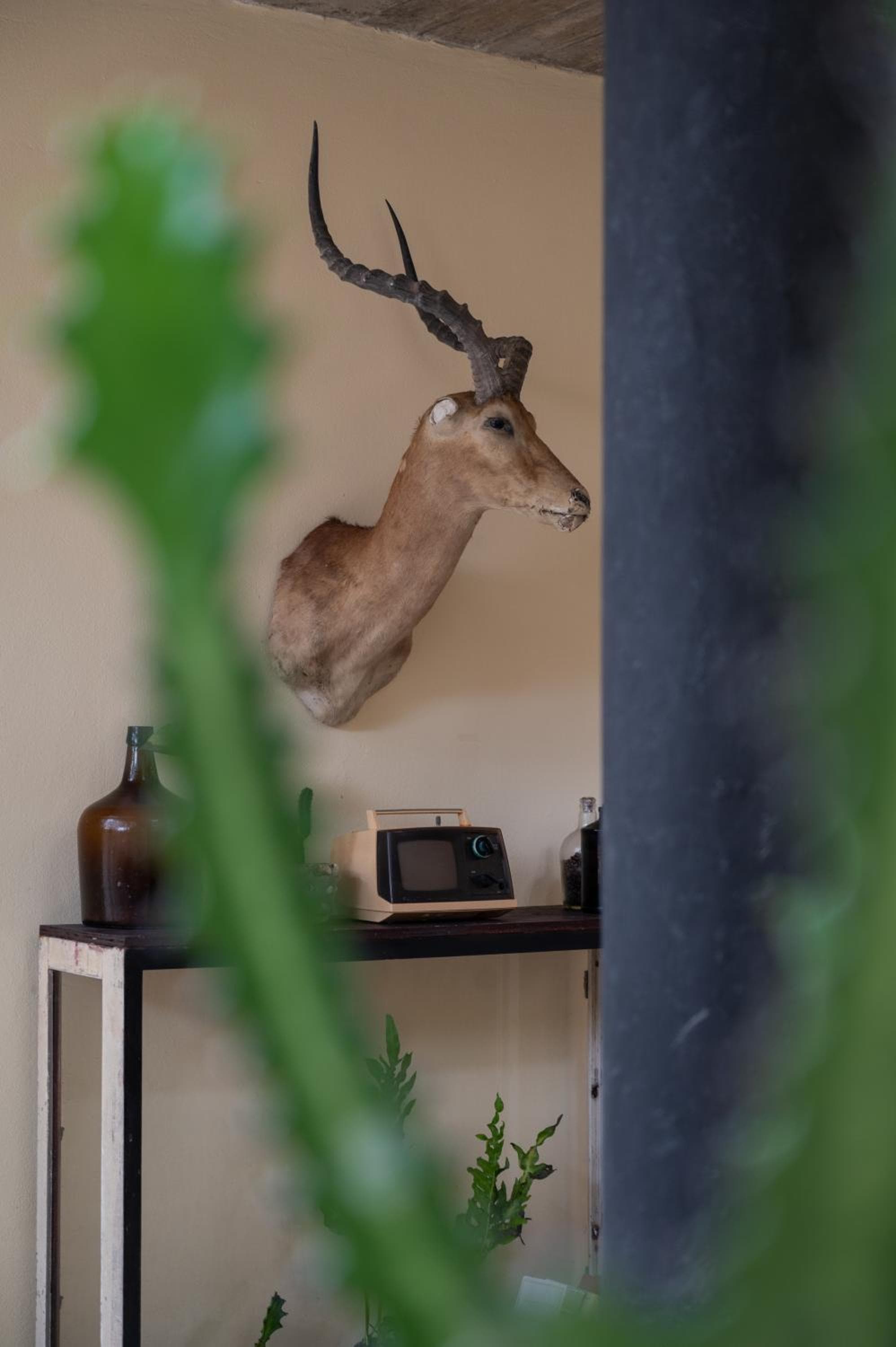 Tropicalito Tulum — 28