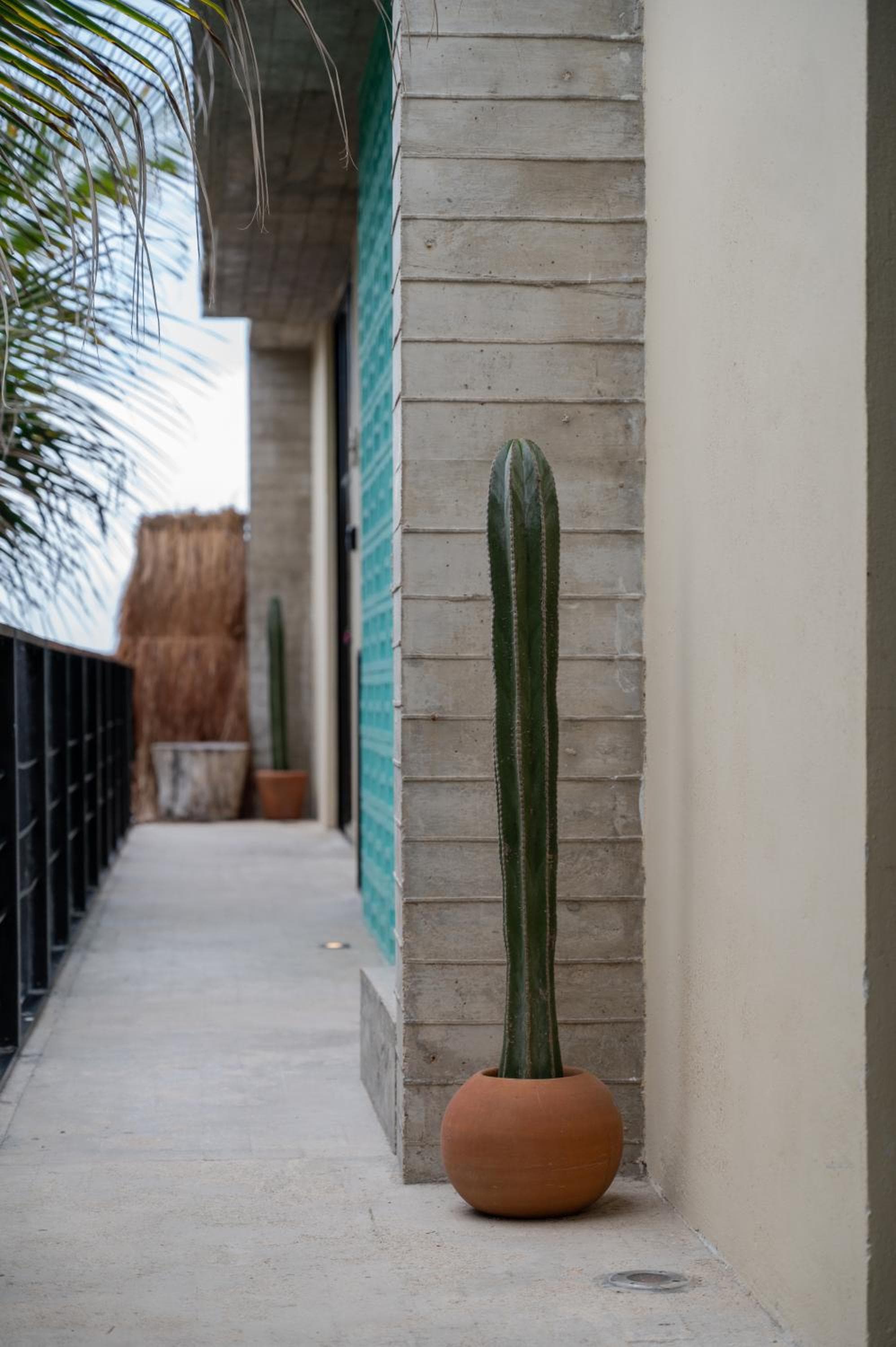 Tropicalito Tulum — 5