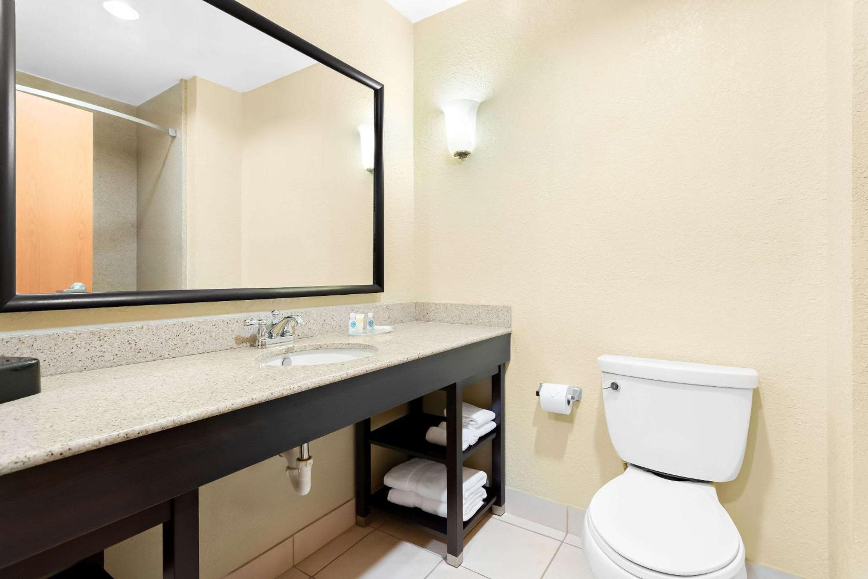 Comfort Suites Tampa Aeroporto Nord — 9
