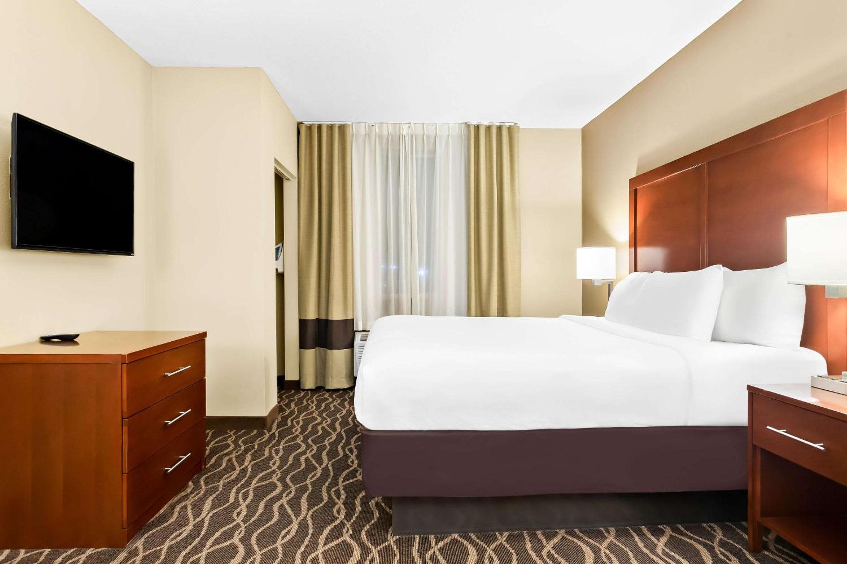 Comfort Suites Tampa Aeroporto Nord — 19