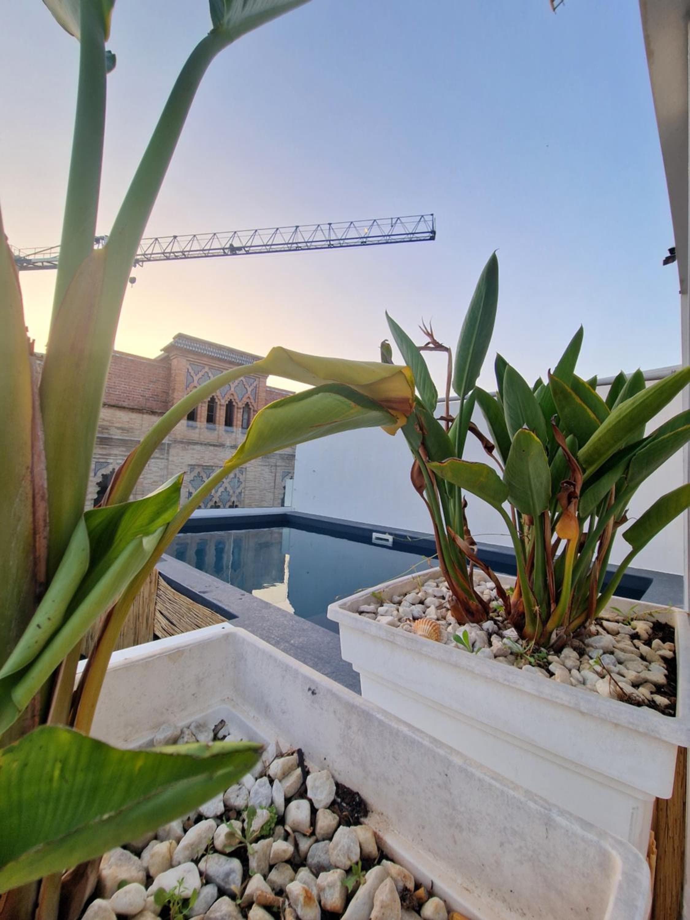 Hotel y Apartamentos Doña Lola — 2