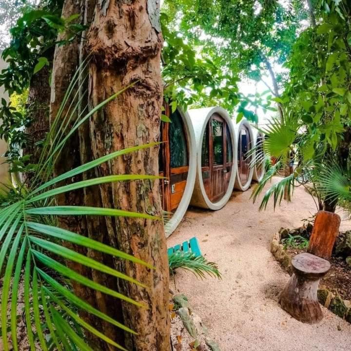Tubo Tulum Hostel — 1