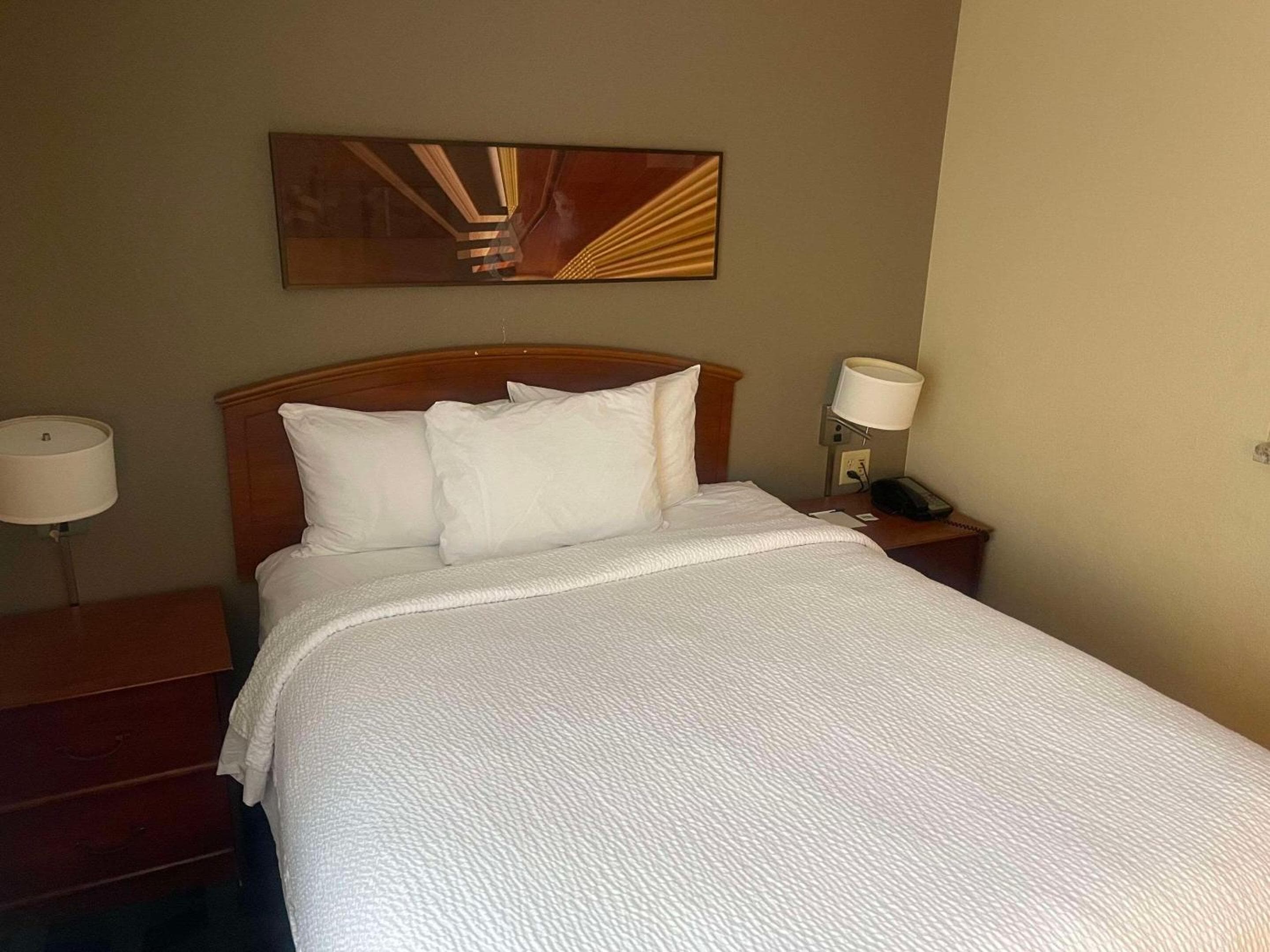 TownePlace Suites Tampa Norte I-75 Fletcher — 4