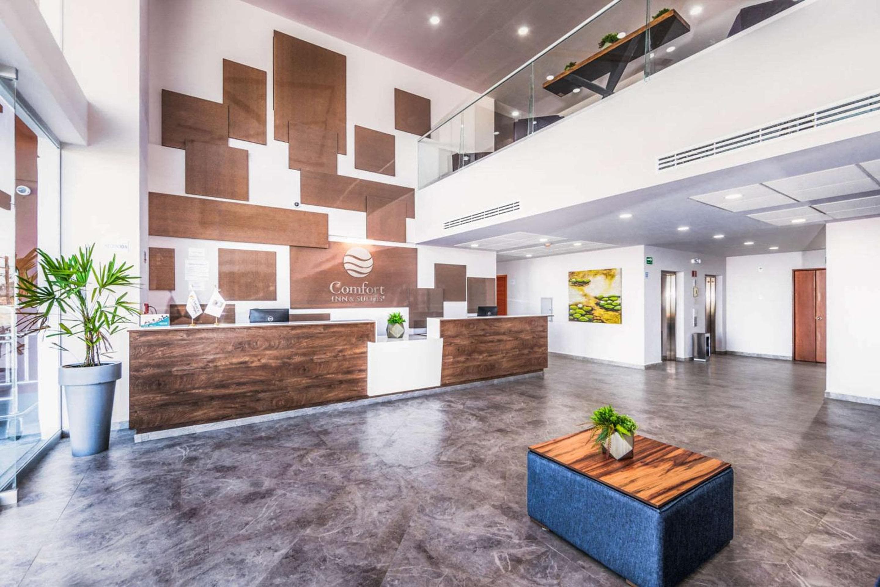 Comfort Inn & Suites Los Cabos — 4