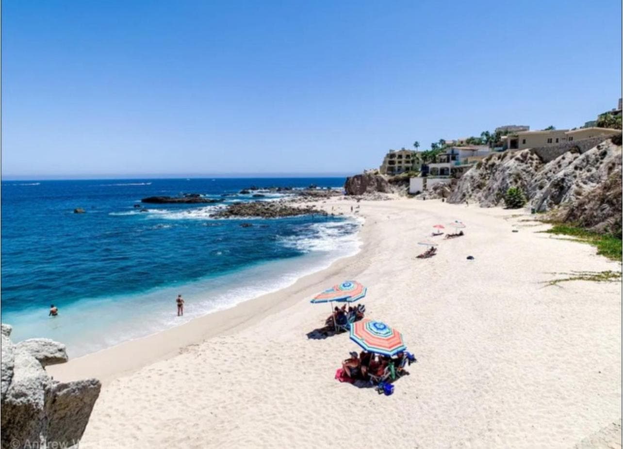 Cabo Oasis - Cabo Oasis — 5